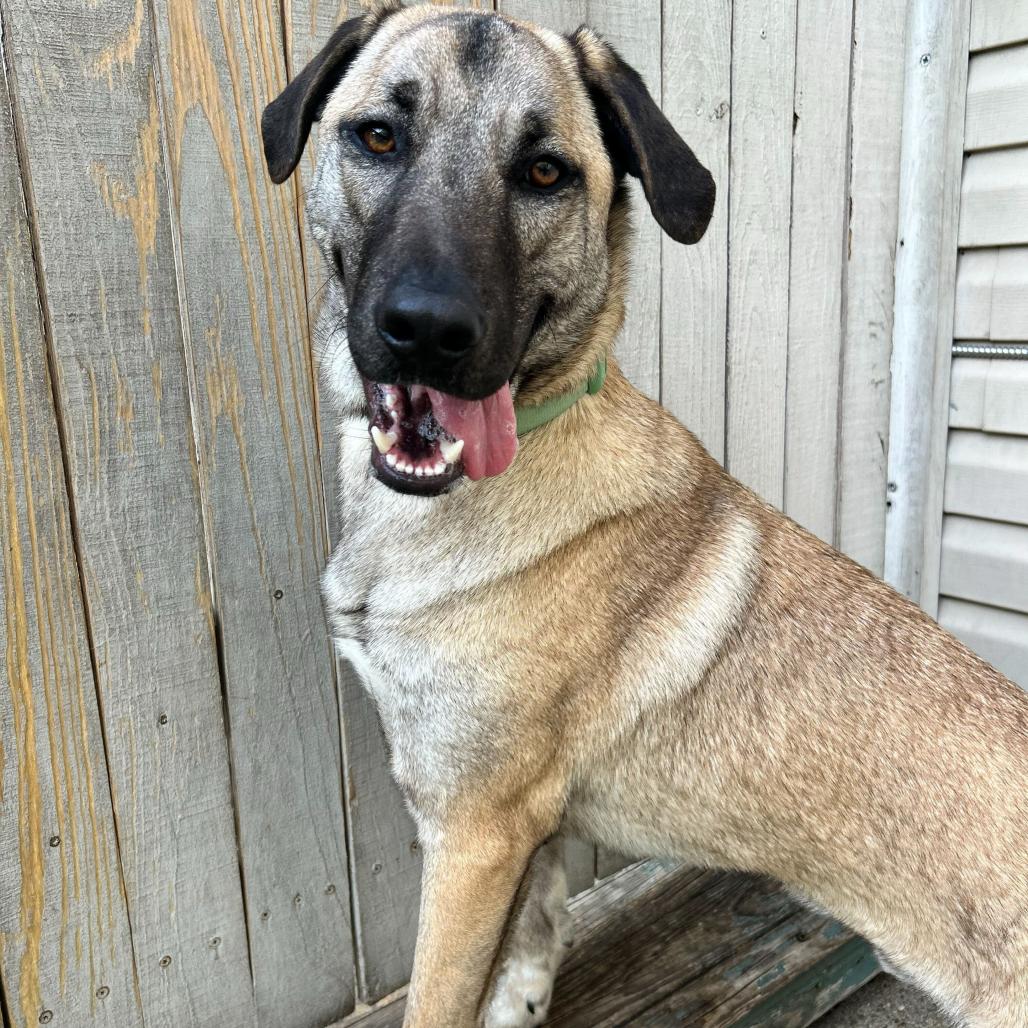 Lucky Ace — thumbnail 4