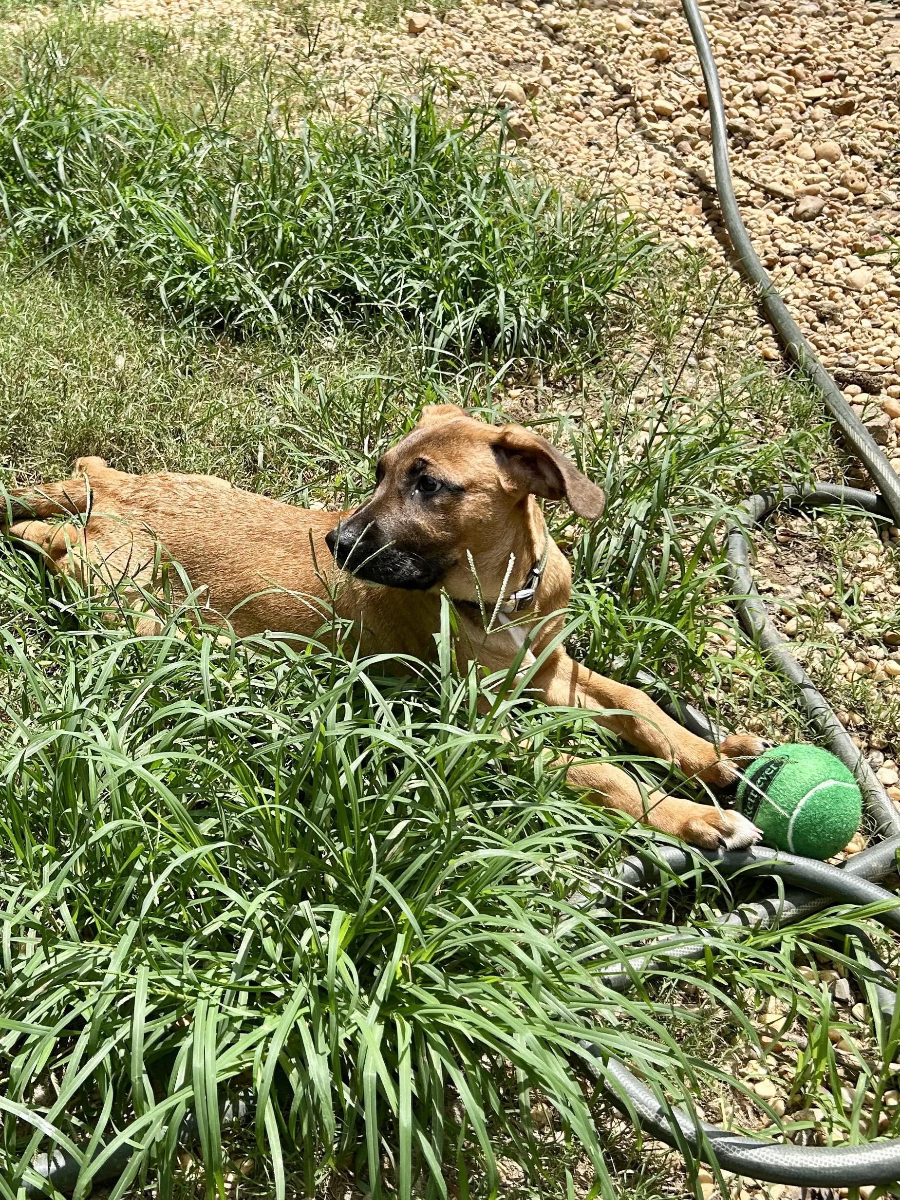 FRANK — thumbnail 2