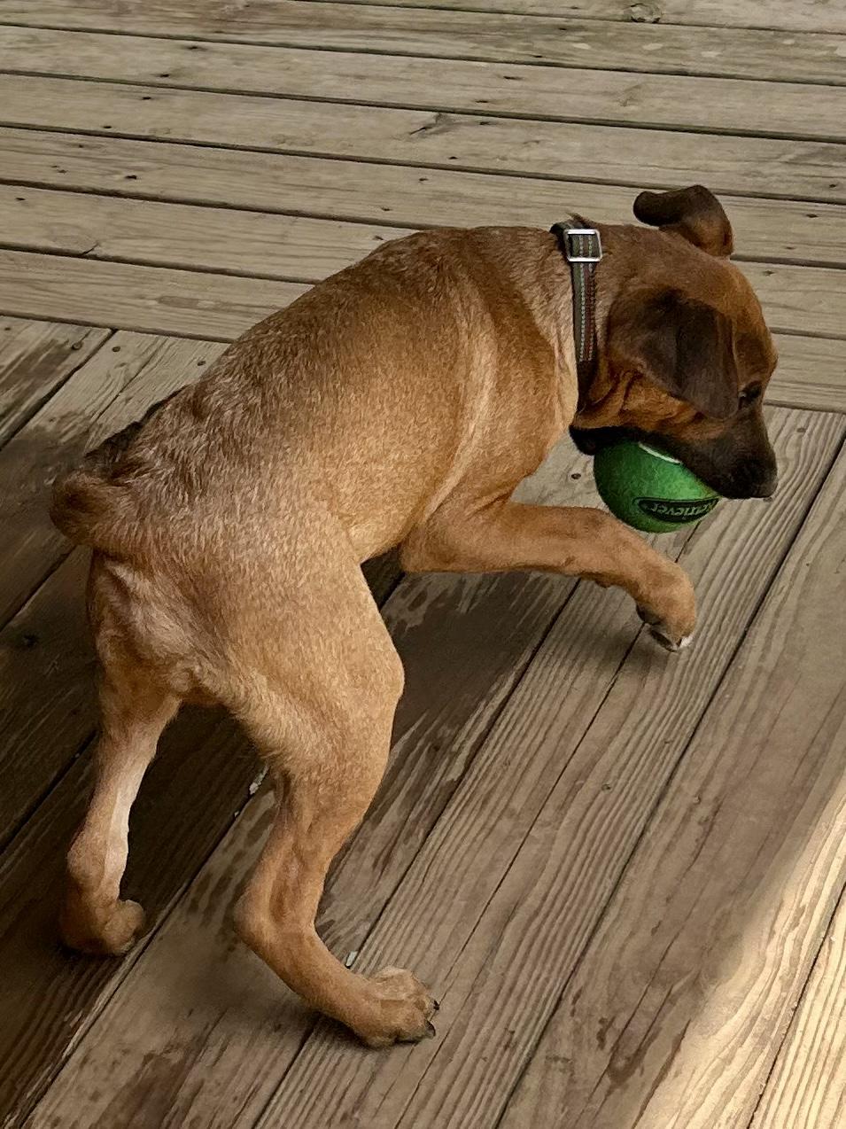 FRANK — thumbnail 5