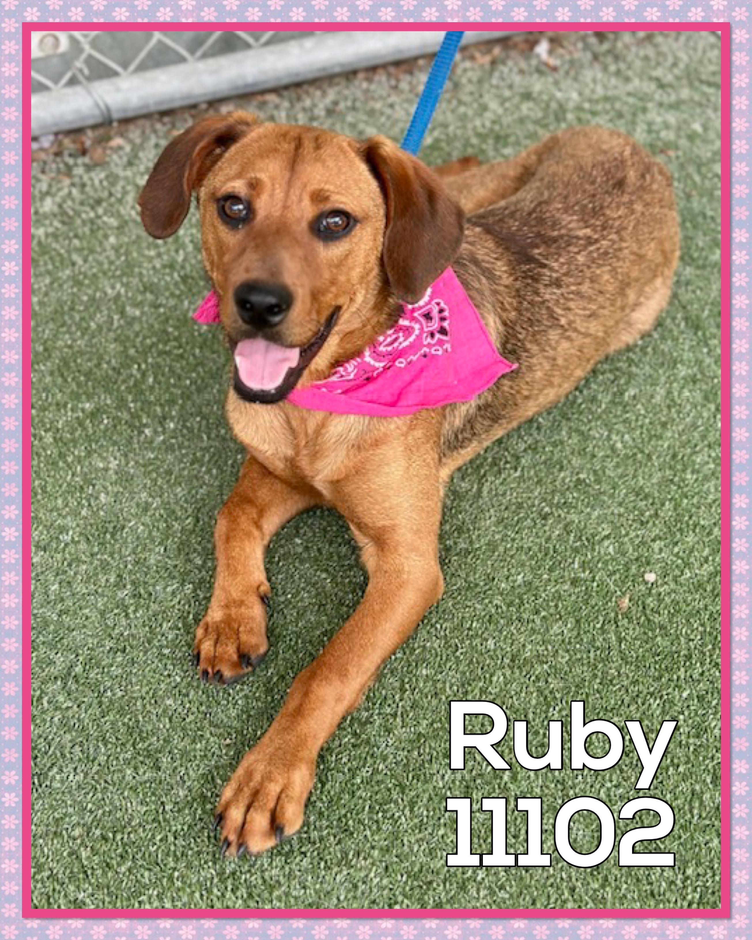 RUBY (also see POPPY)