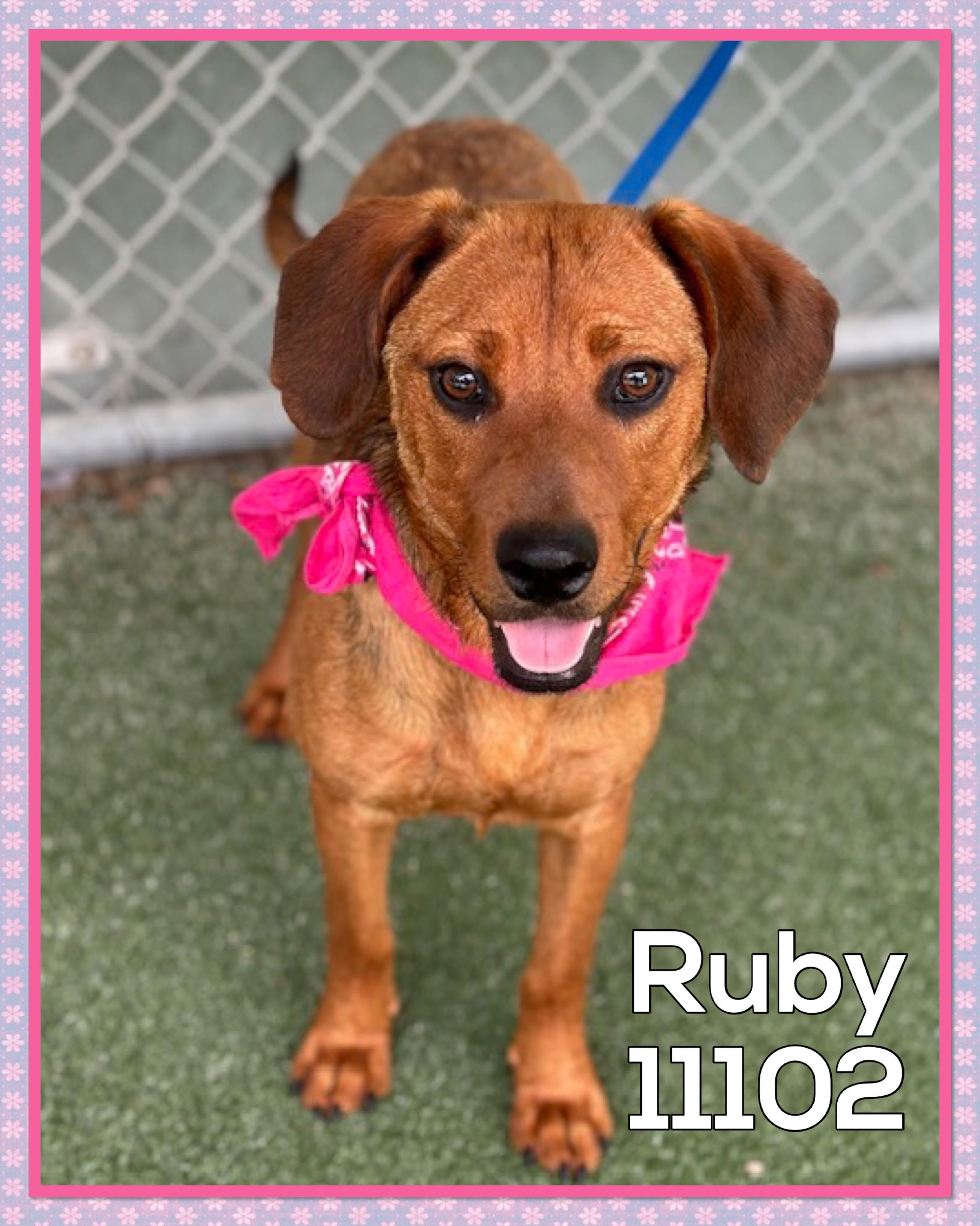 RUBY (also see POPPY)