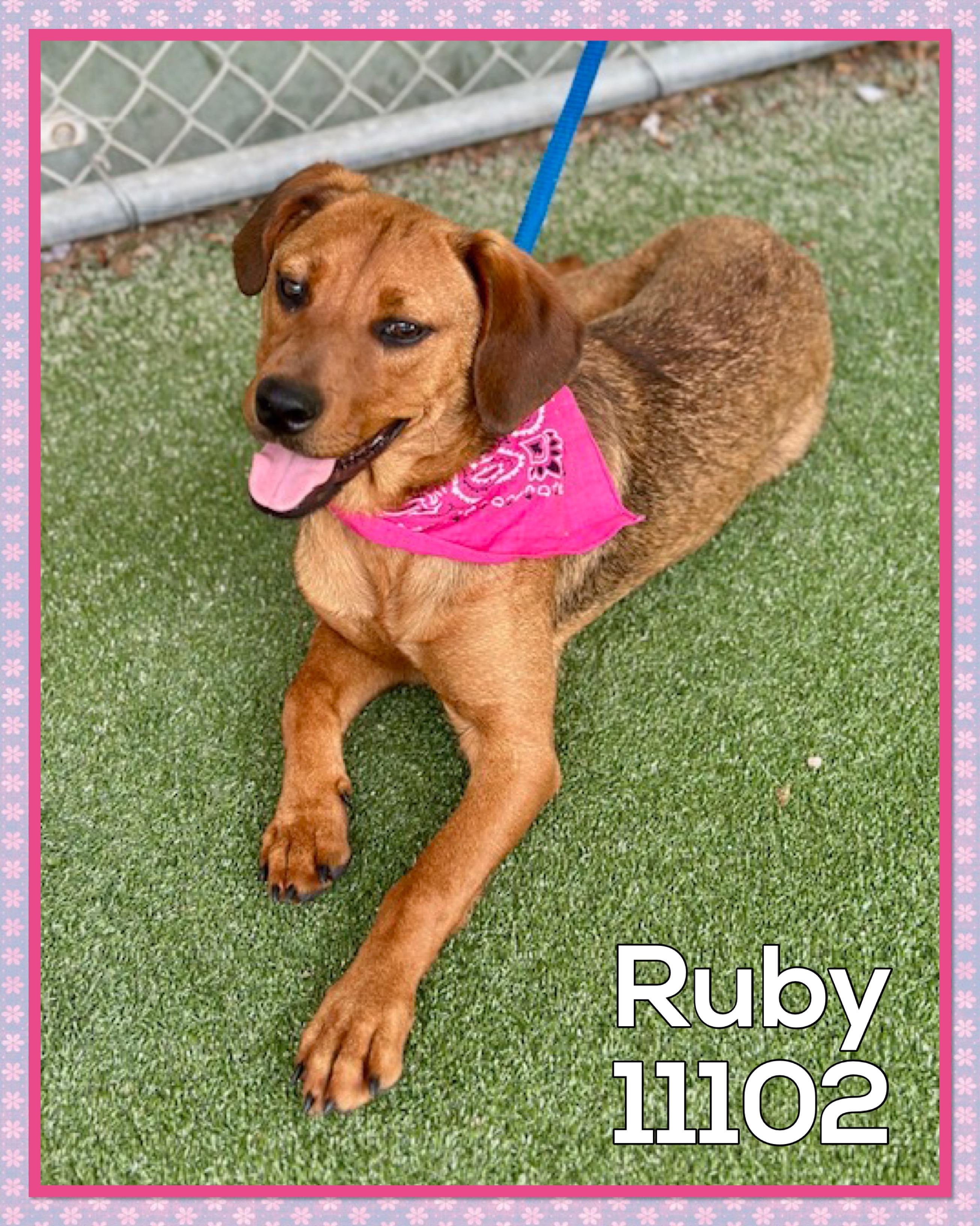 RUBY (also see POPPY)
