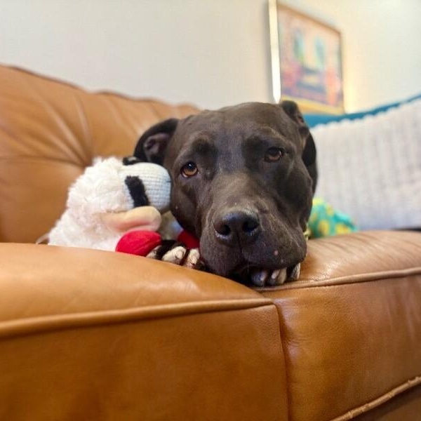 Galinda Gentle Loyal Lowkey Girl — thumbnail 3