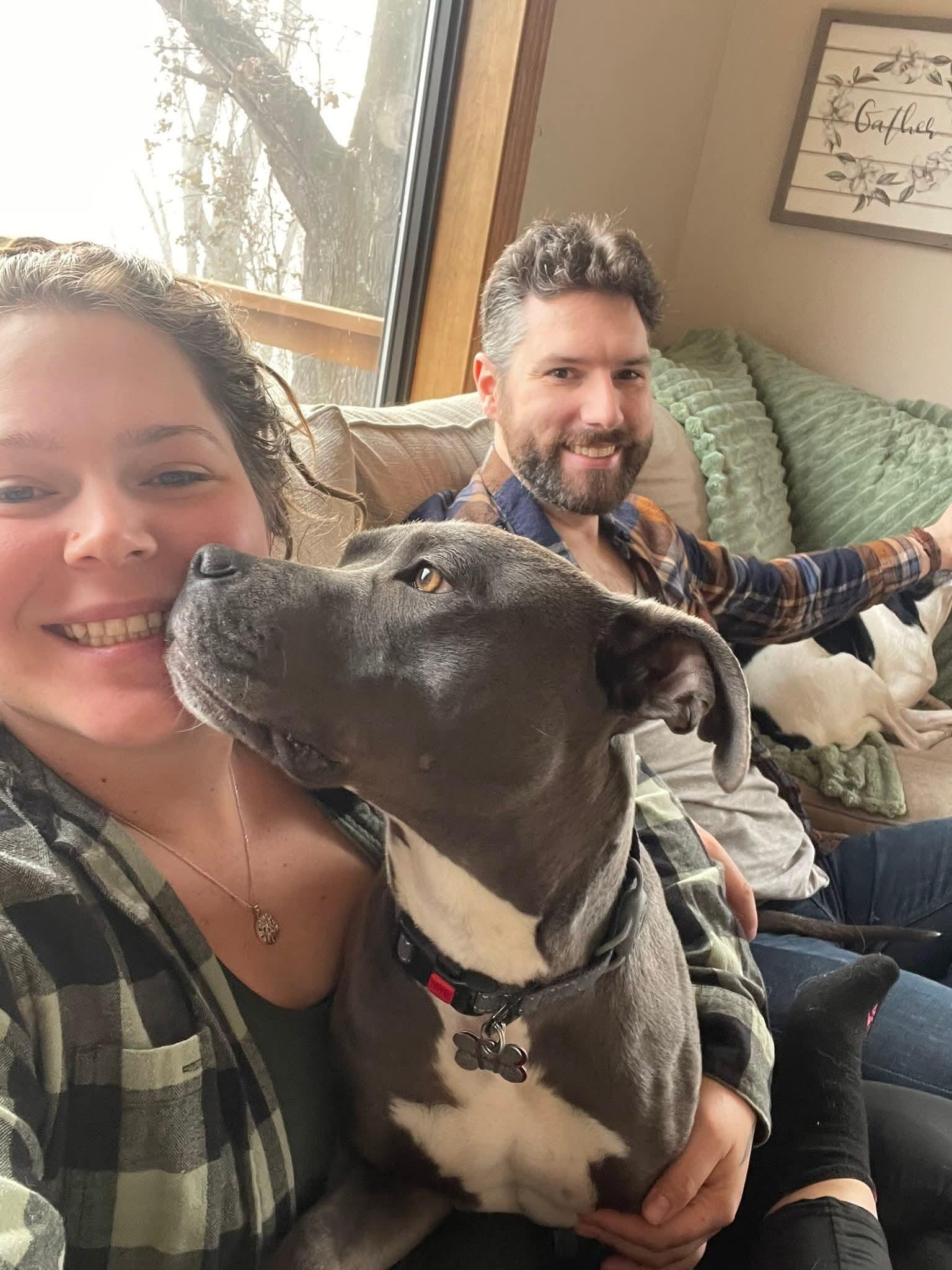 Milo - IN FOSTER CARE staff favorite!, a Adoptable mixed breed in Amherst, VA image 6/6