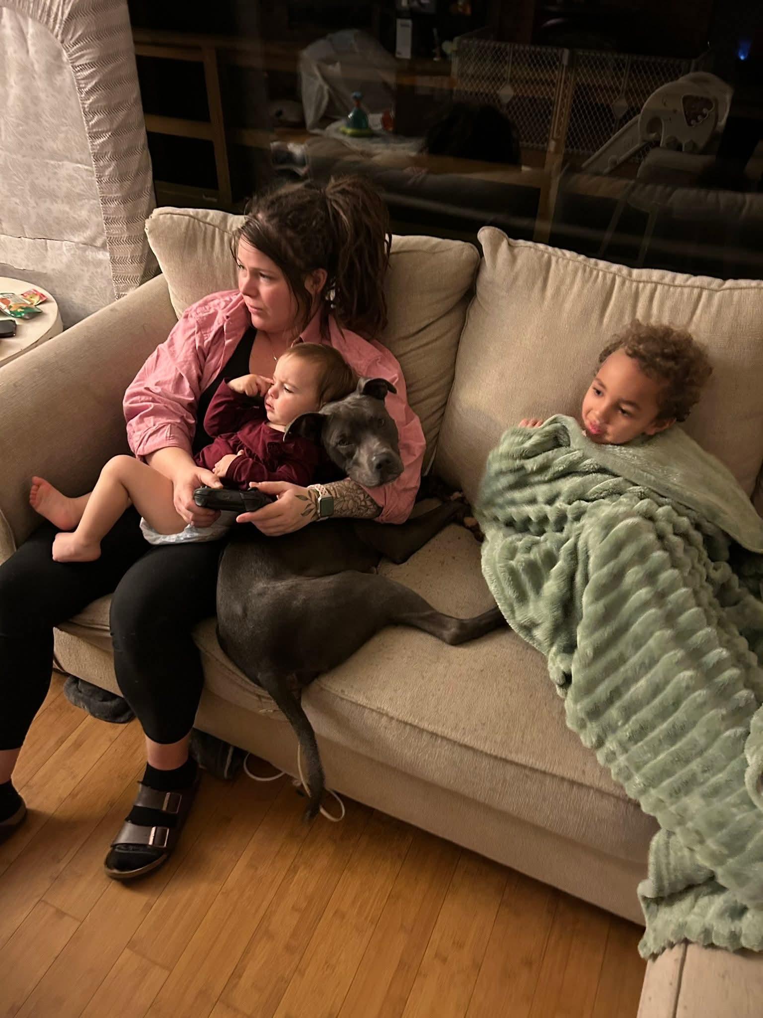 Milo - IN FOSTER CARE staff favorite!, Adoptable, Adult Male Hound.