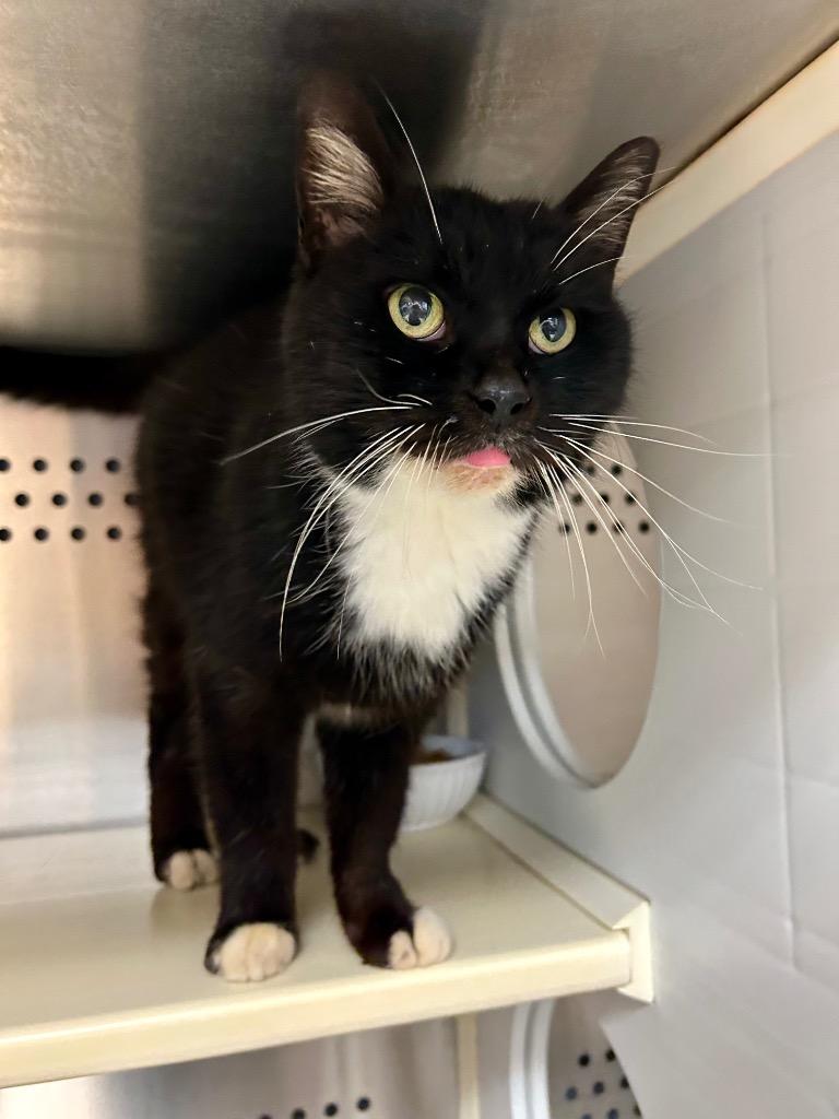 Big Poppa thumbnail 4