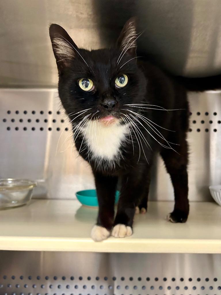 Big Poppa thumbnail 5