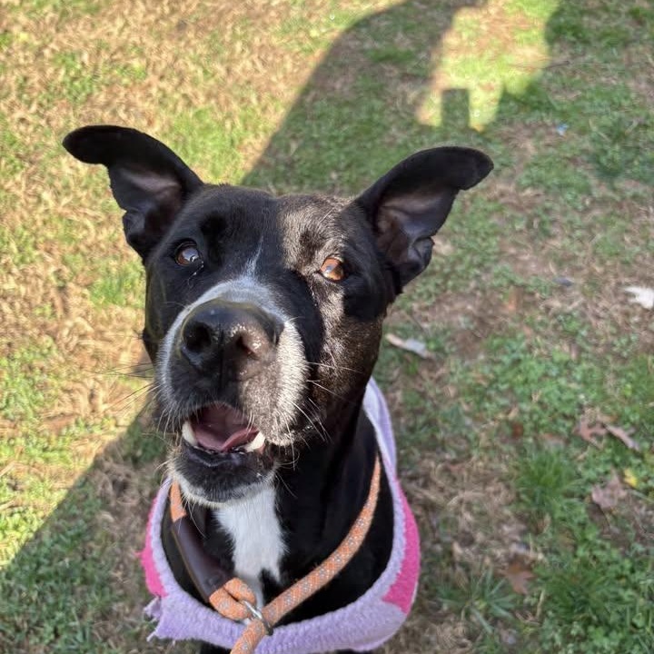 Nyla (20260120-10) — thumbnail 2