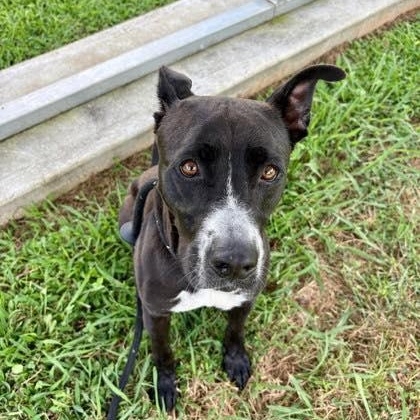 Nyla (20260120-10) — thumbnail 3