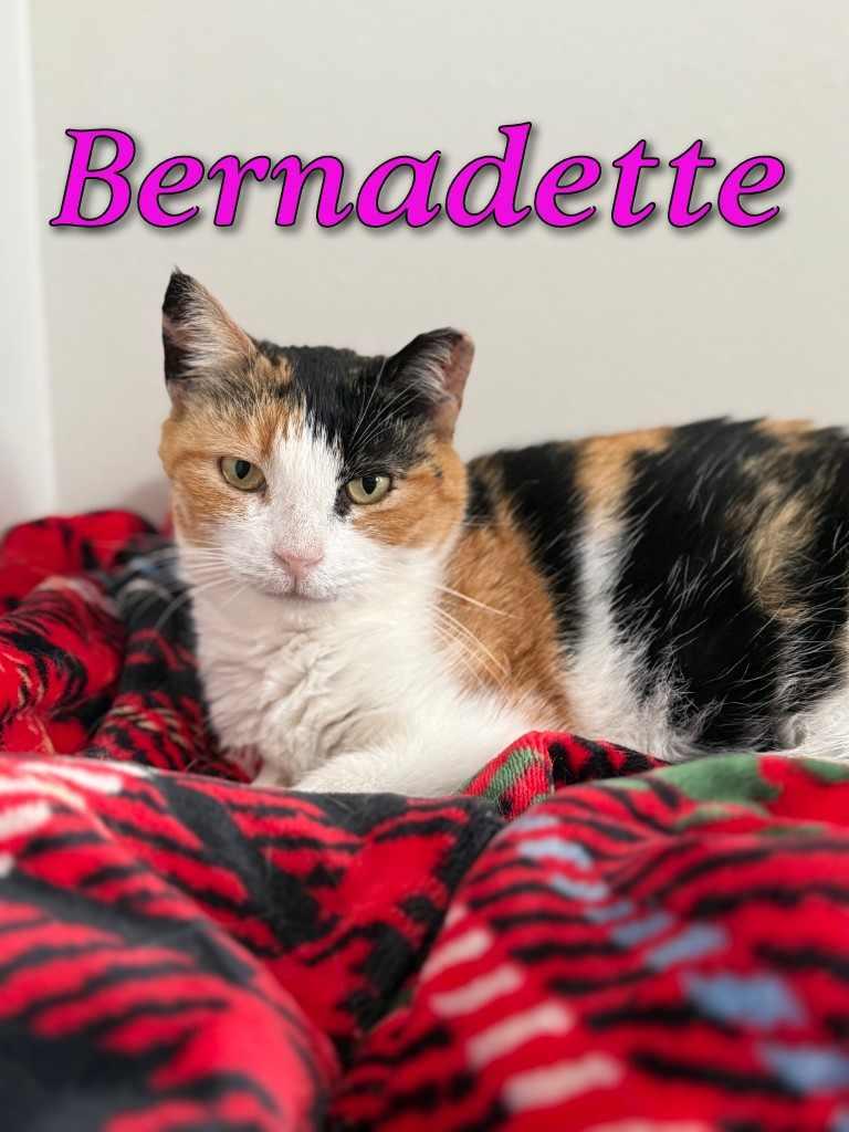 Bernadette
