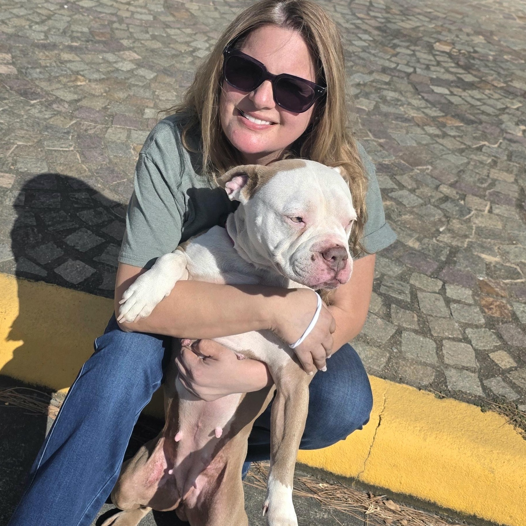 Enlarge Rosita , an adopted mixed breed in Magnolia, TX image 4/5