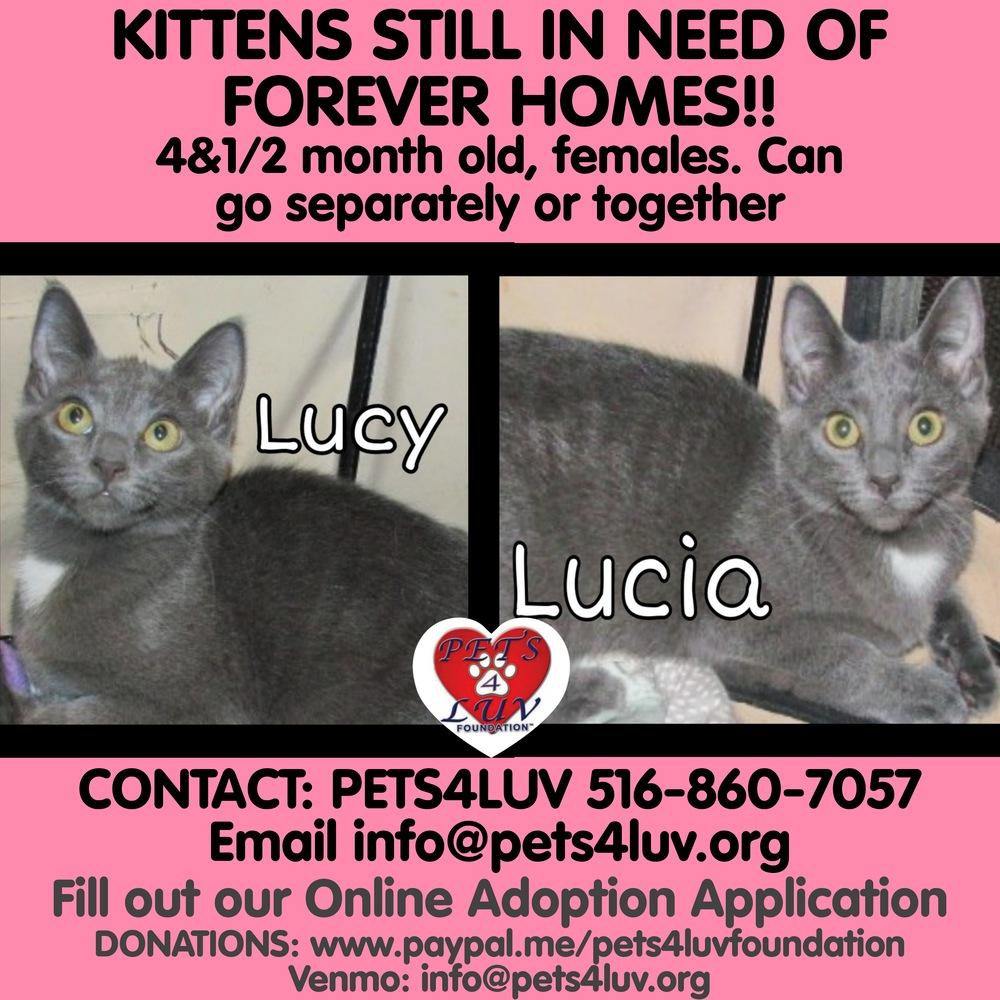 Lucy Laurelton thumbnail 2