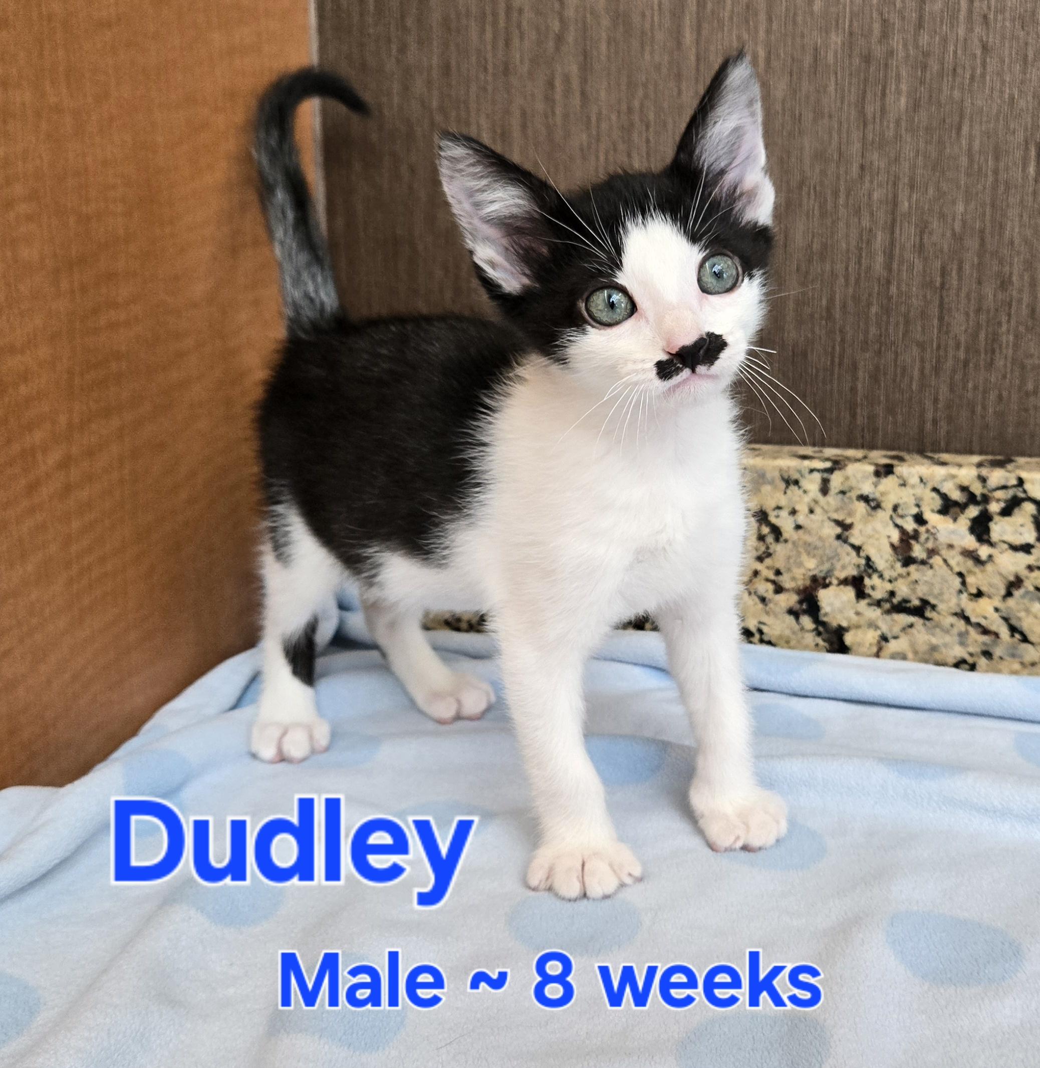Dudley