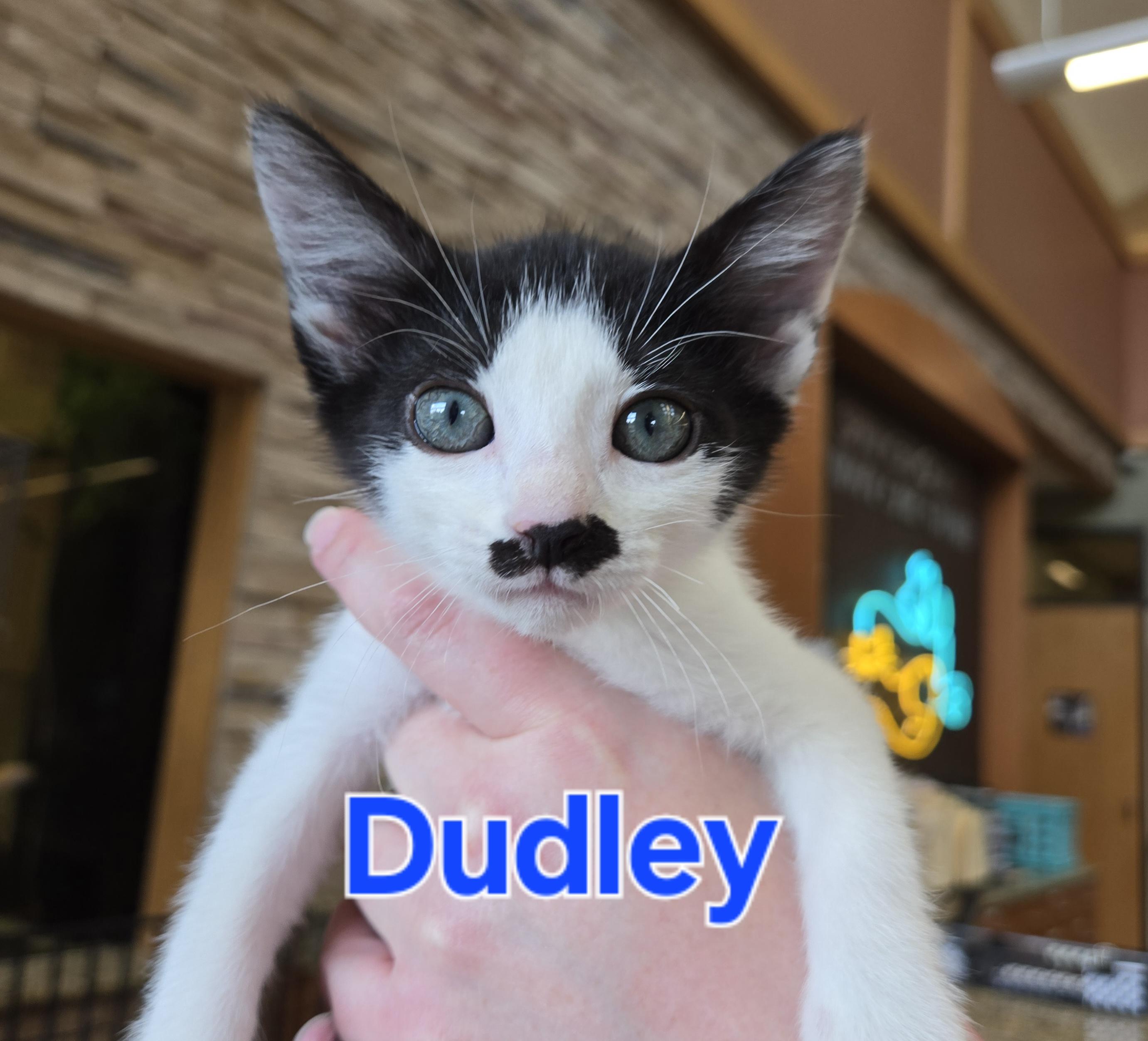 Dudley