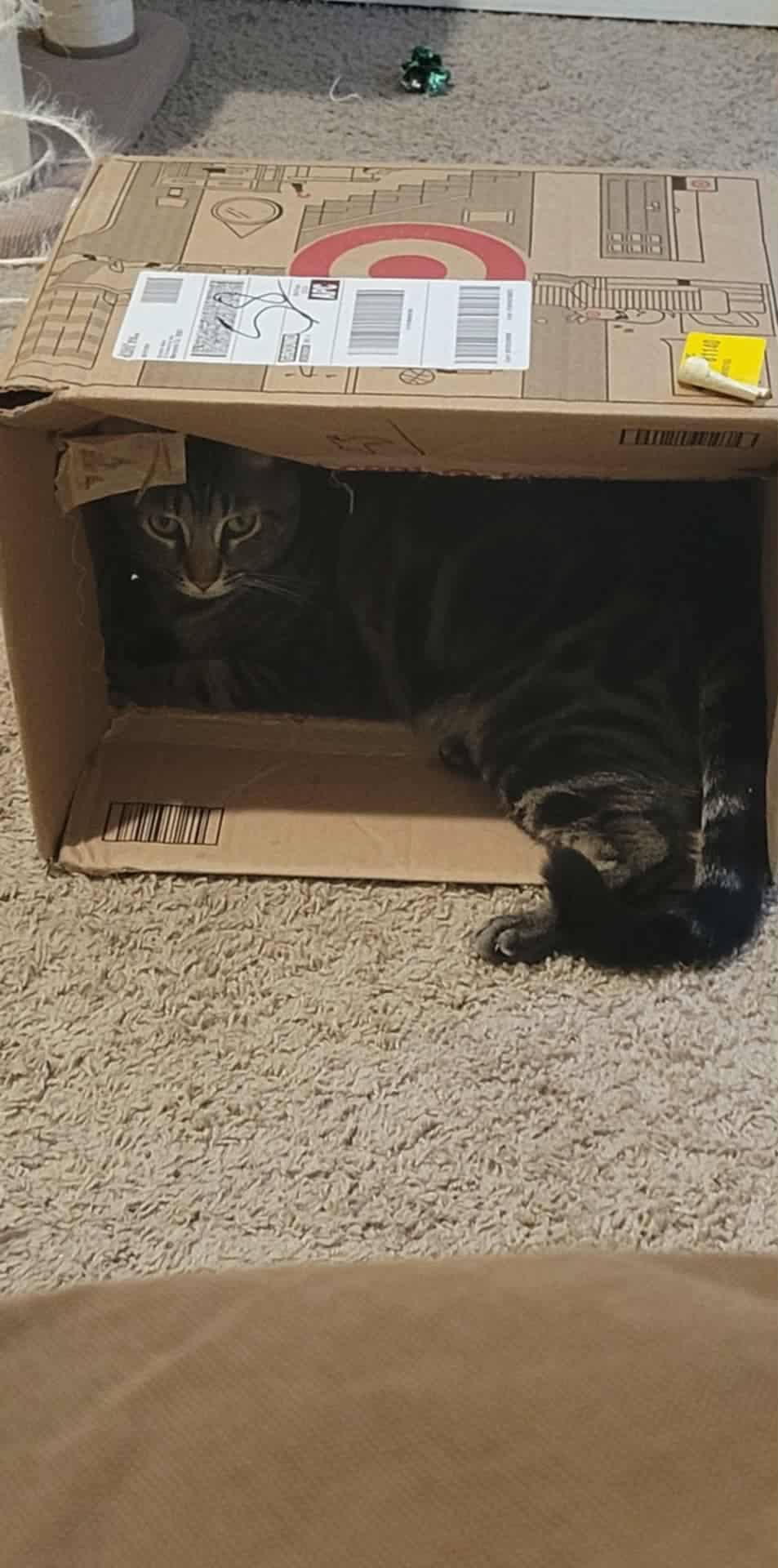 Motomoto thumbnail 3