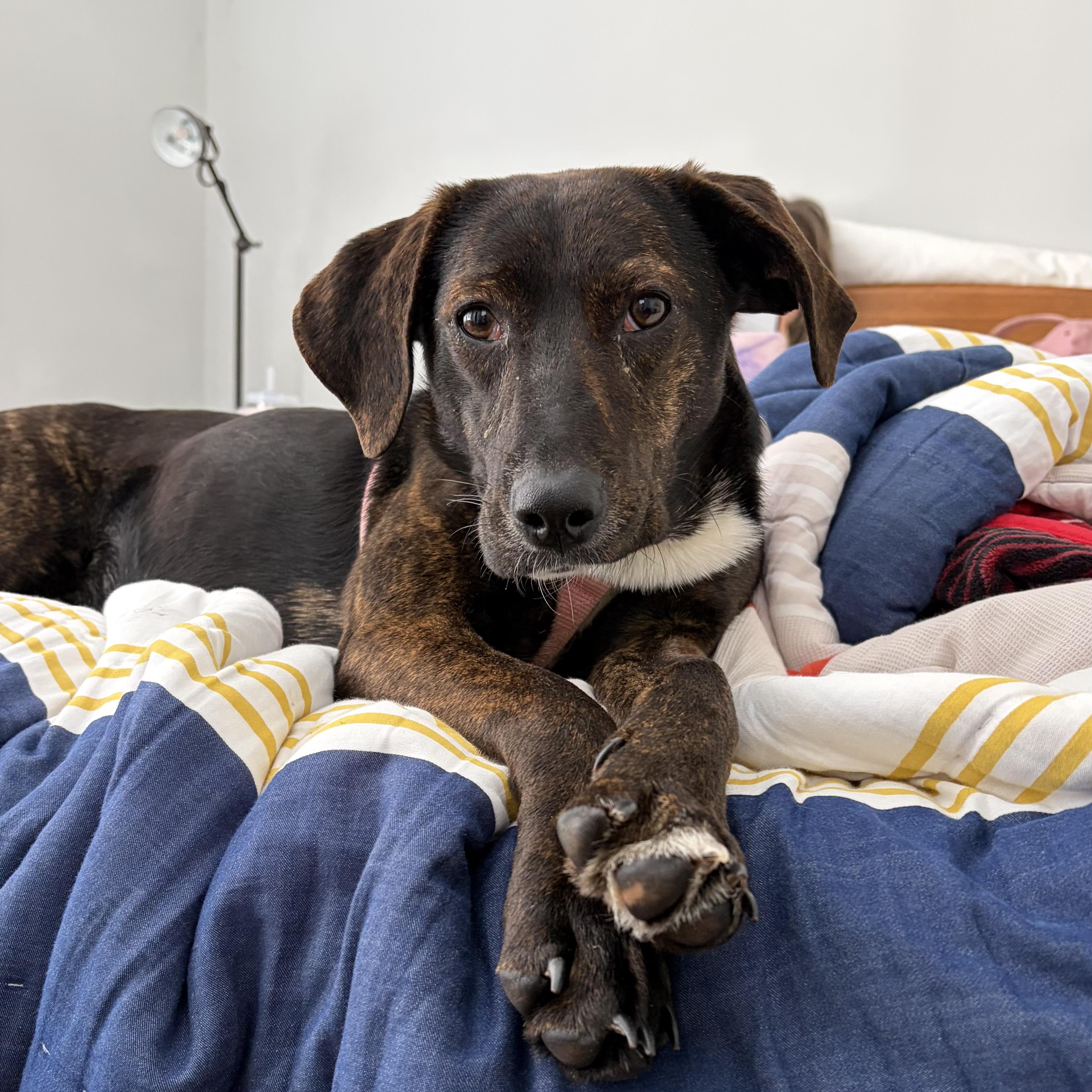 Sea Salt — thumbnail 2