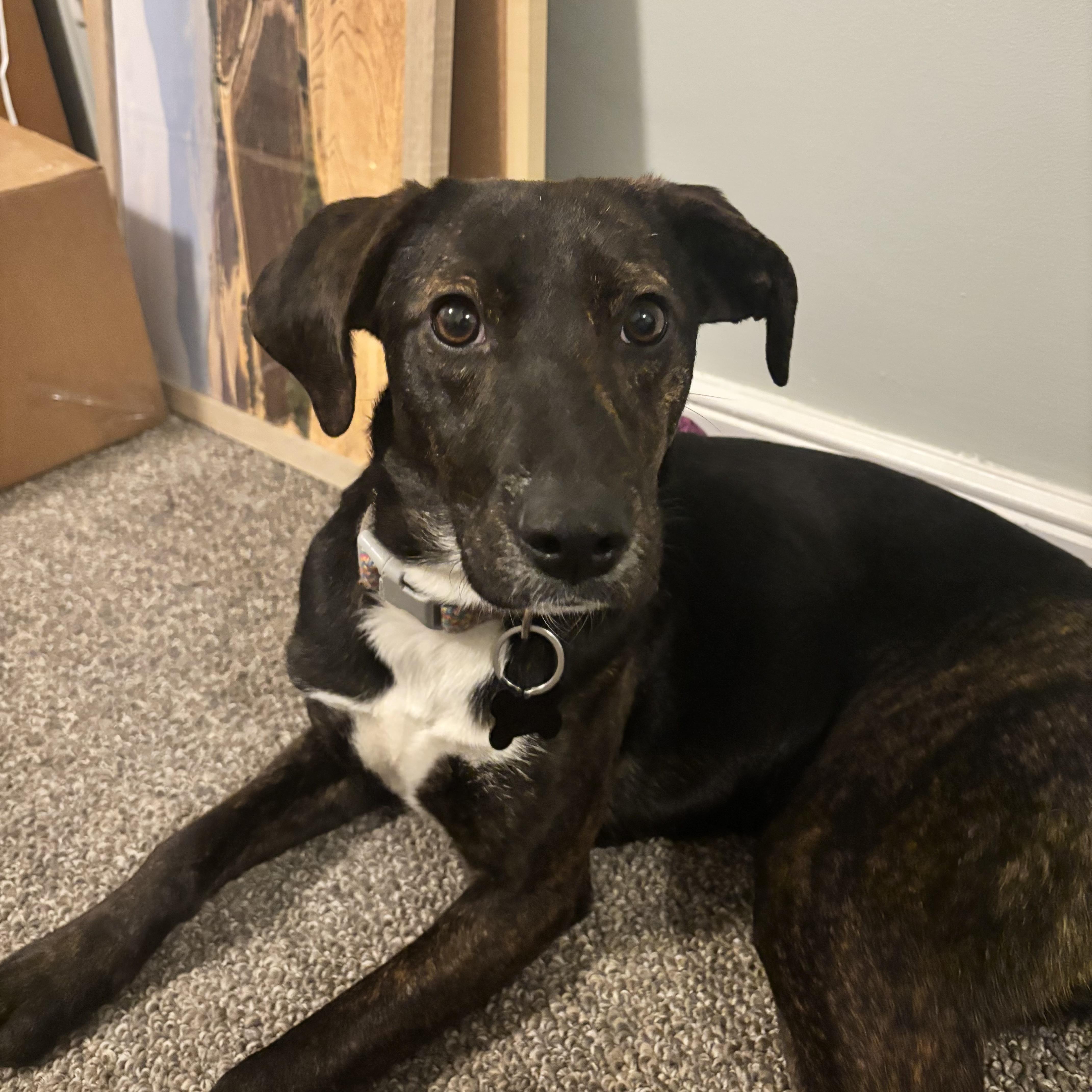 Sea Salt — thumbnail 5