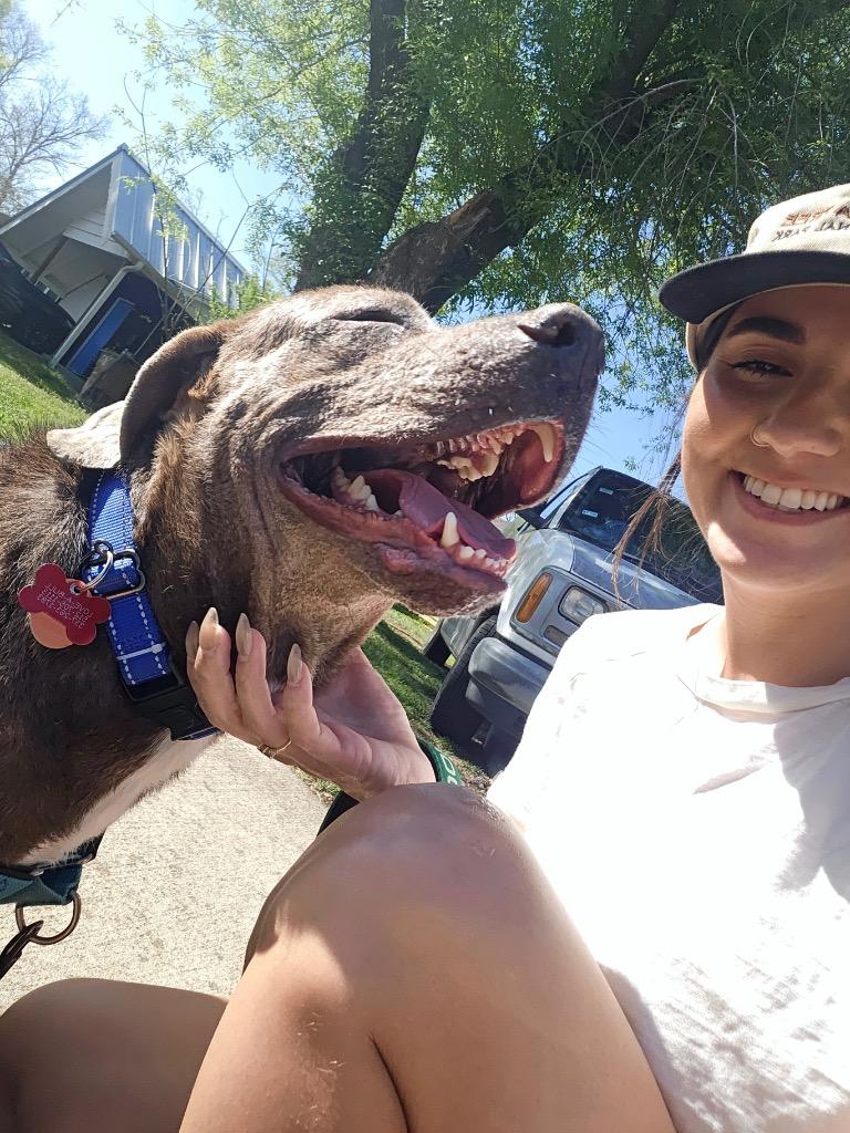 Enlarge Marvin, a Adoptable Pit Bull Terrier in Austin, TX image 3/6