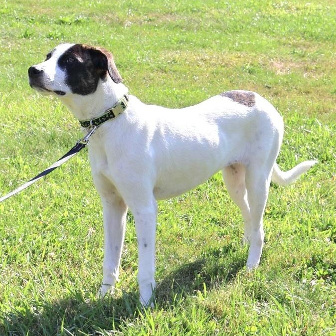 BIRCH in NY to meet and greet!