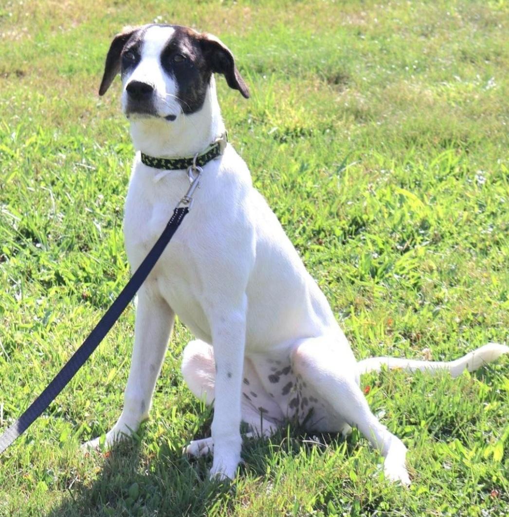 BIRCH in NY to meet and greet!