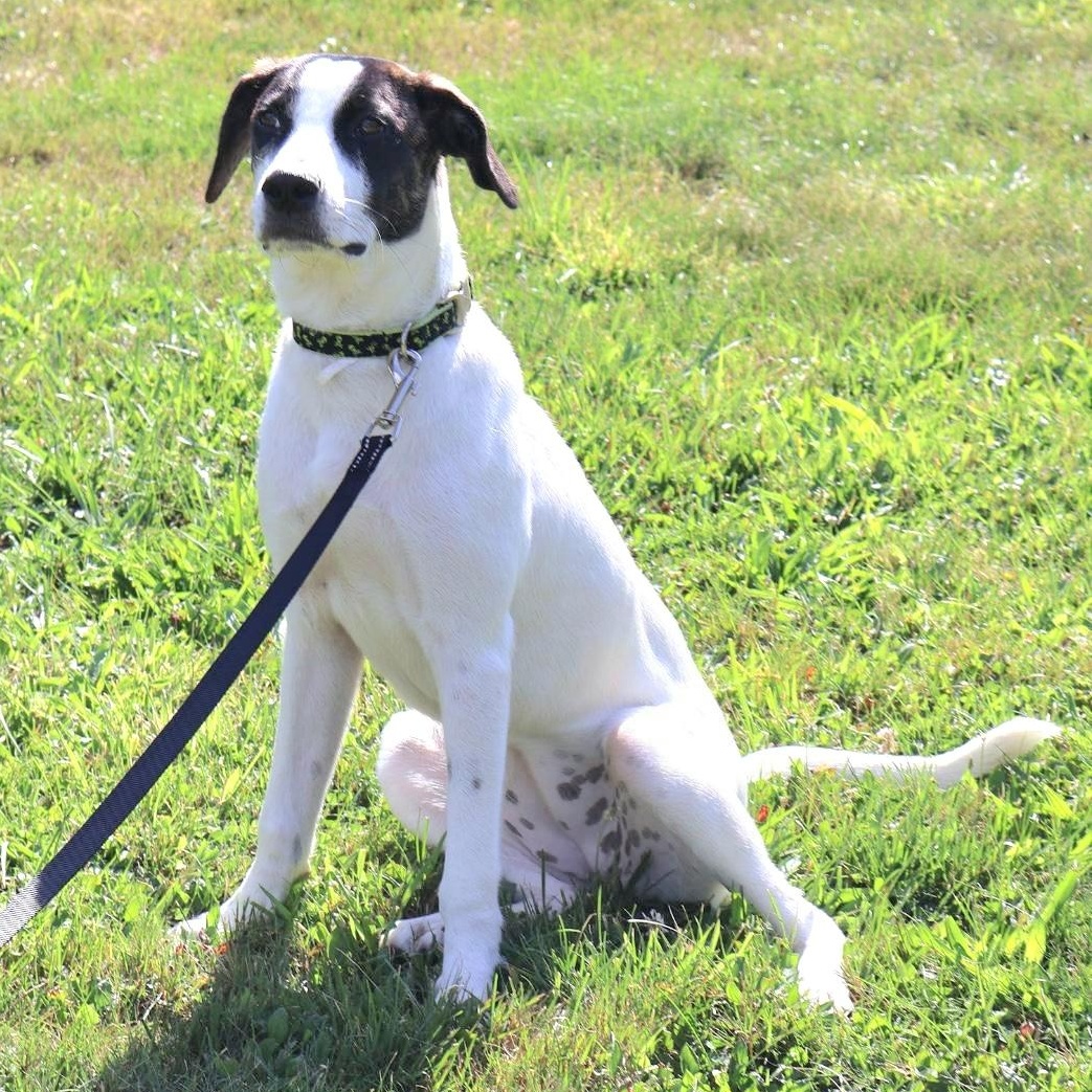 BIRCH in NY to meet and greet!