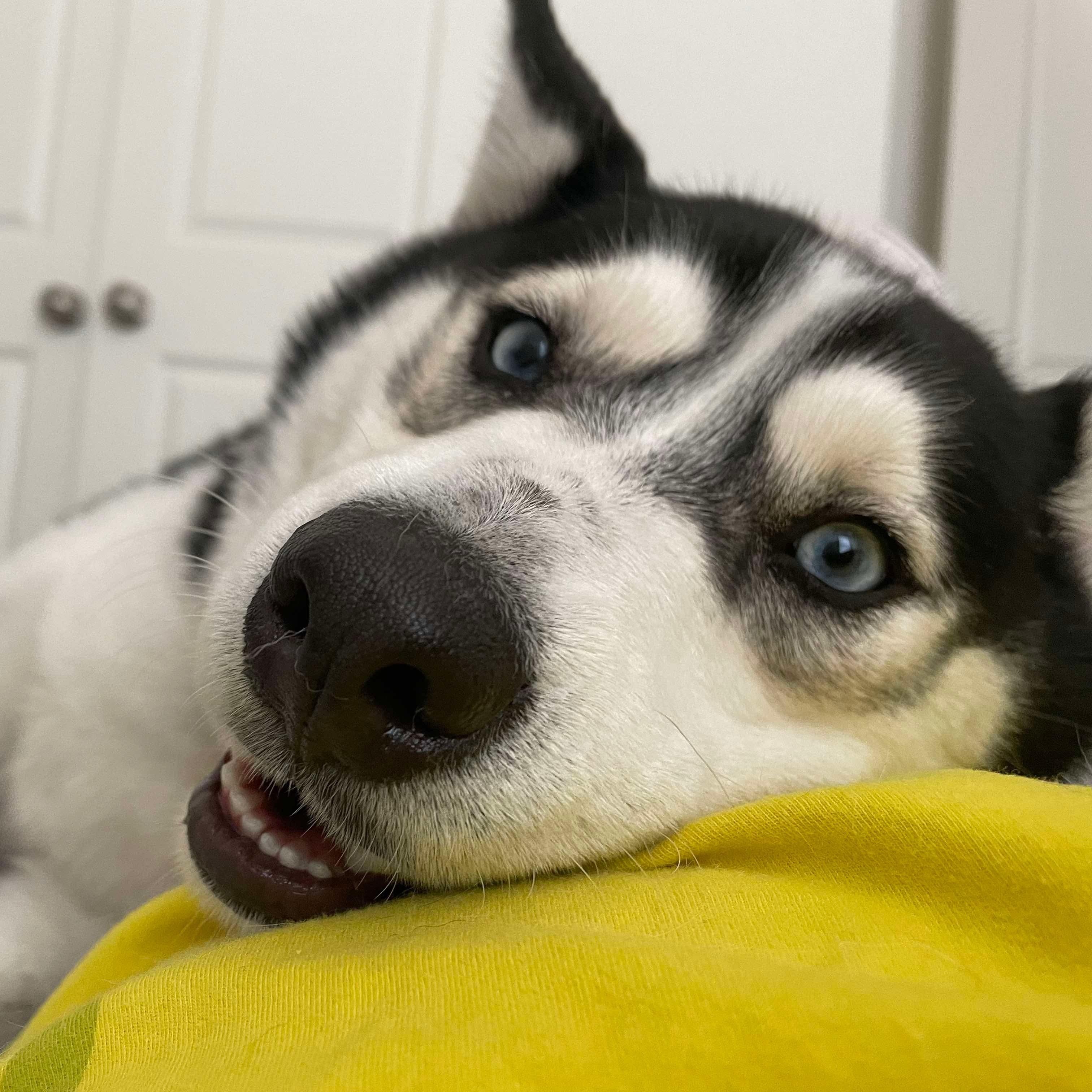 Luna
