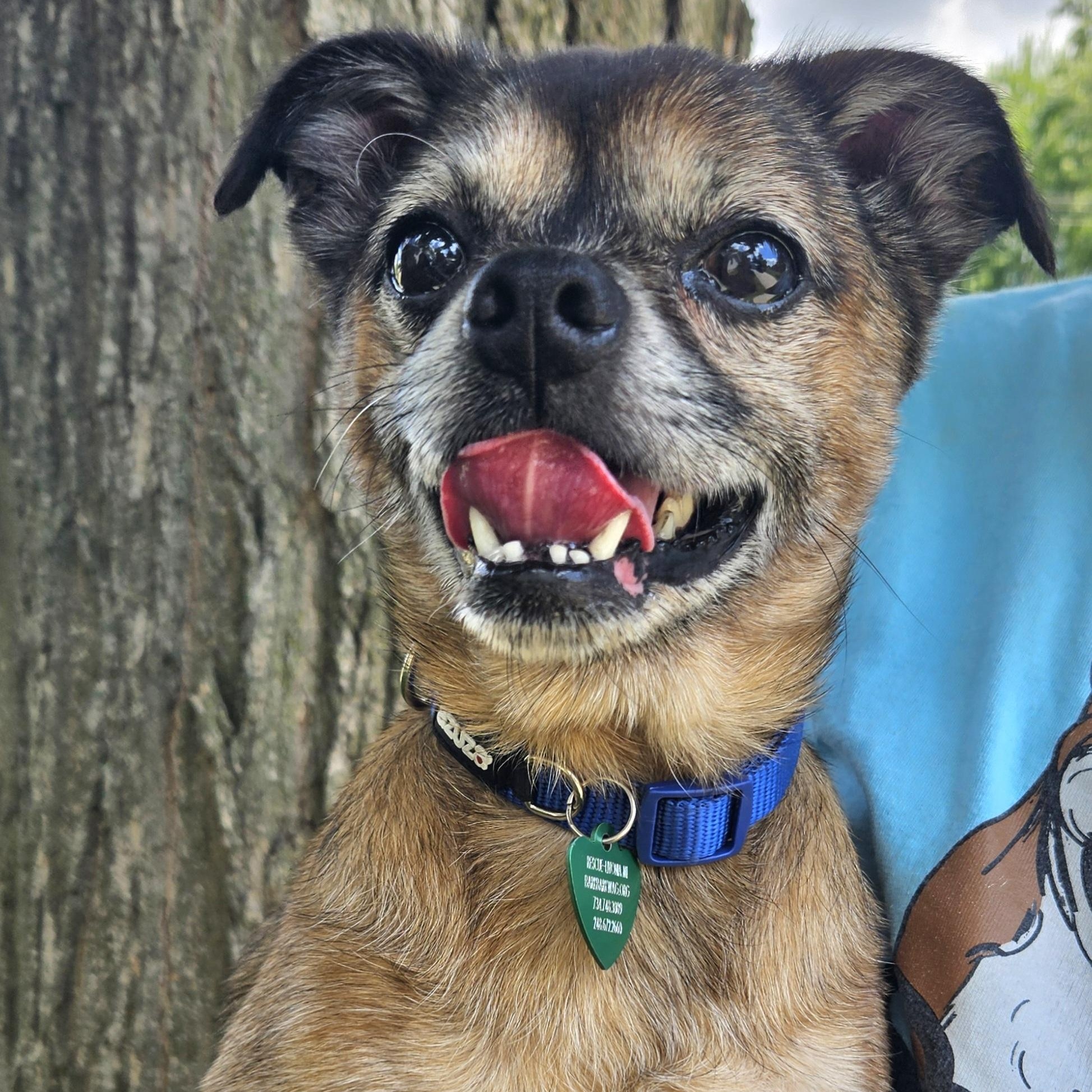 Gizmo