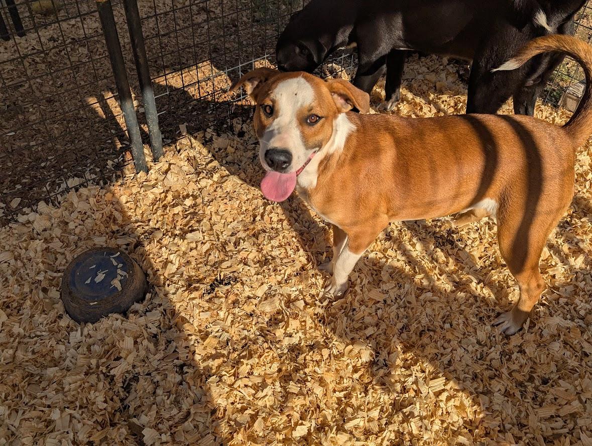 GEORGIA — thumbnail 5