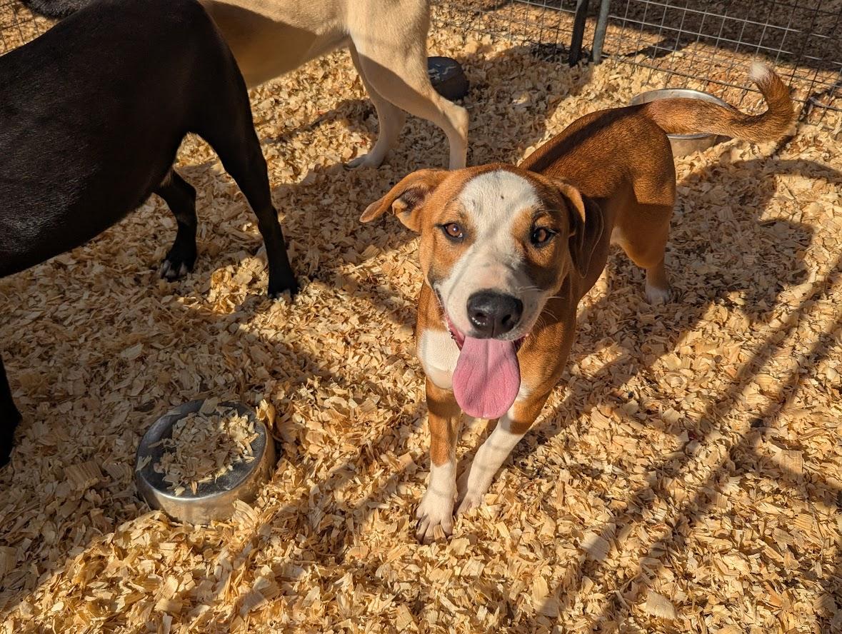 GEORGIA — thumbnail 6