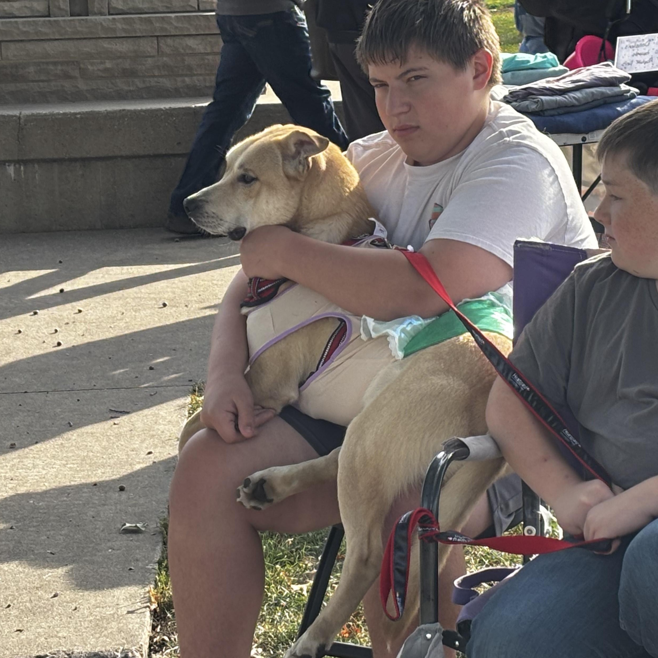 Enlarge Squirrel, a Adoptable mixed breed in Fort Madison, IA image 4/6