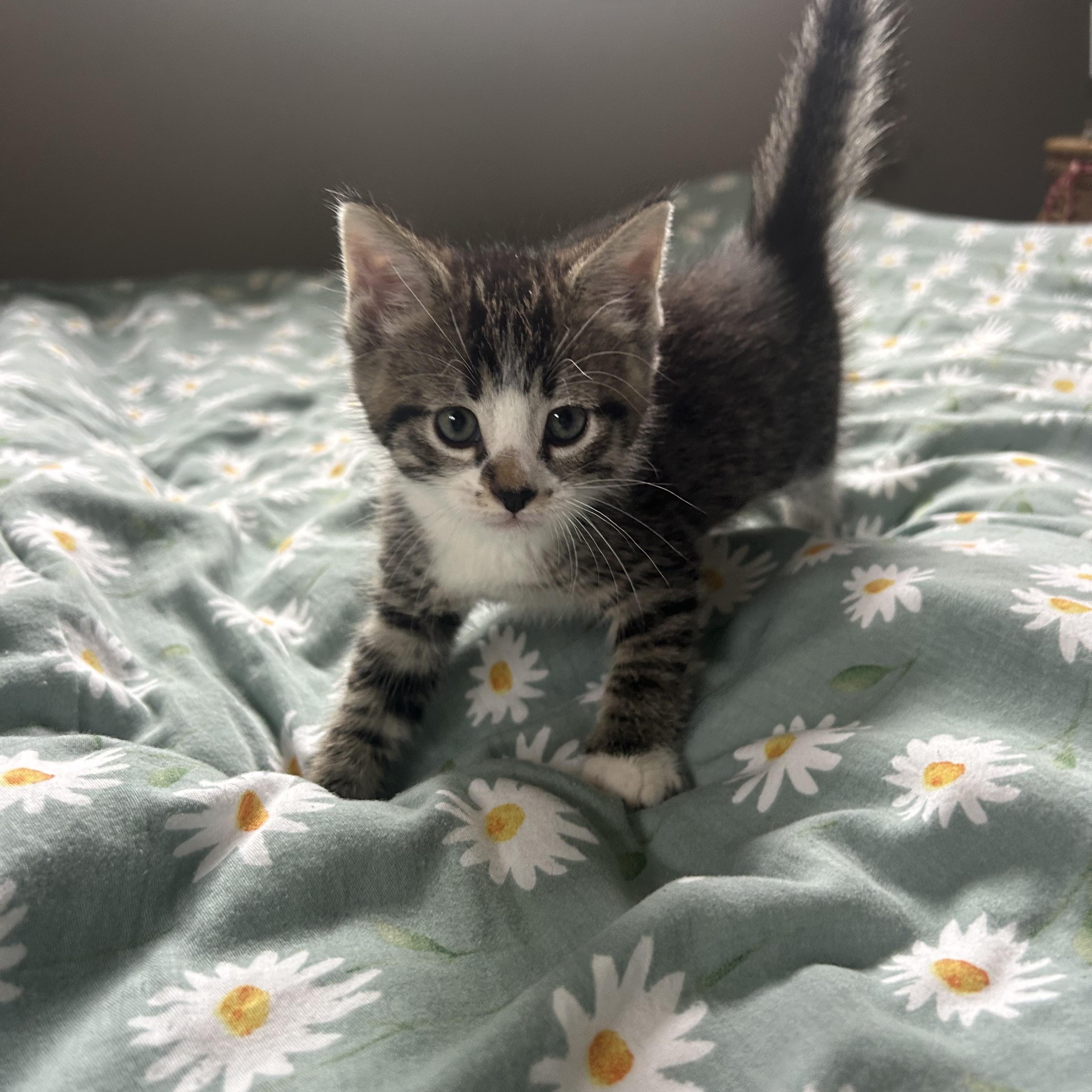 Pixel photo 2