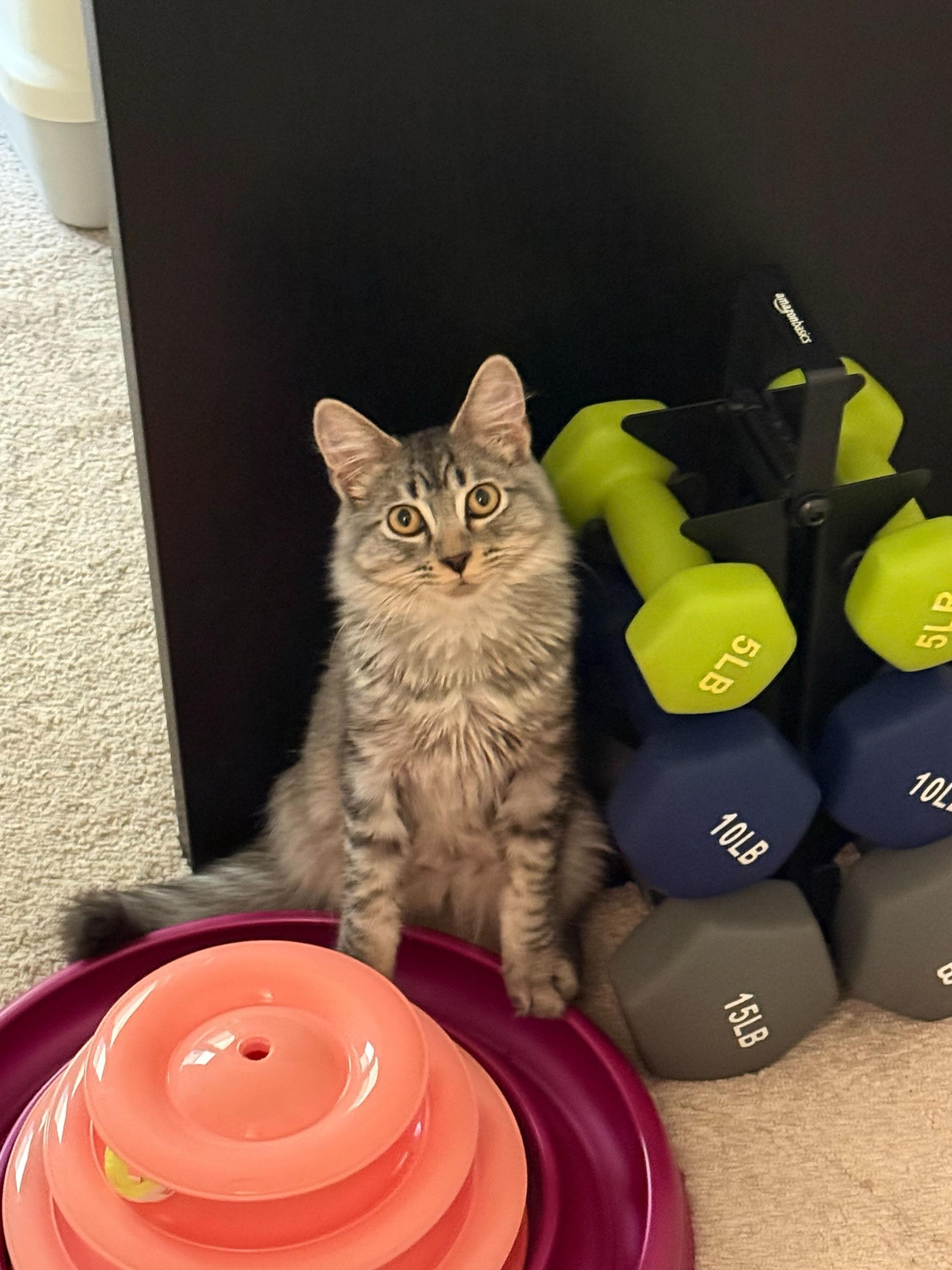 Flow And Graybie thumbnail 4