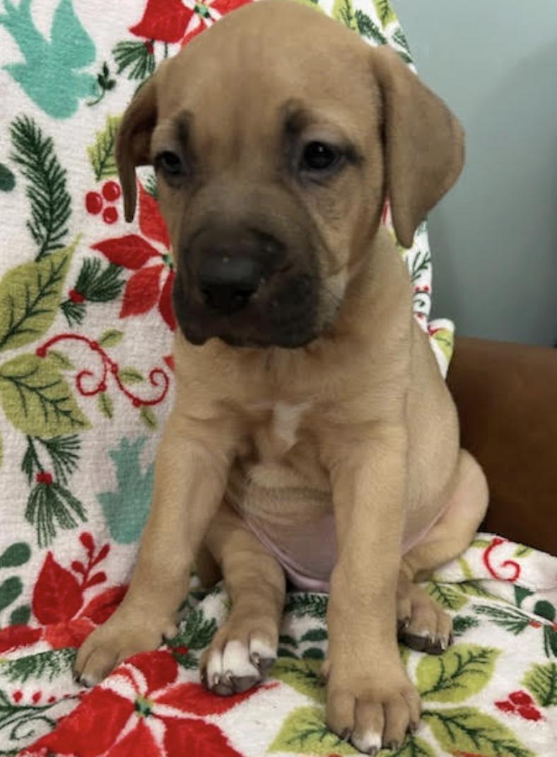 Tuesday Happydays thumbnail 2