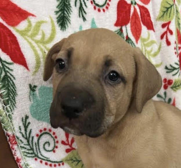 Tuesday Happydays thumbnail 3