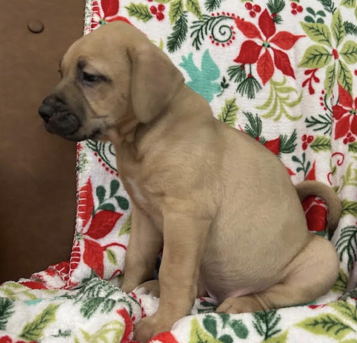 Tuesday Happydays thumbnail 4