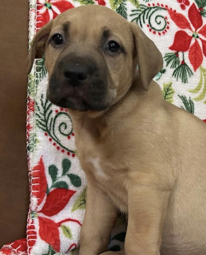 Tuesday Happydays thumbnail 5