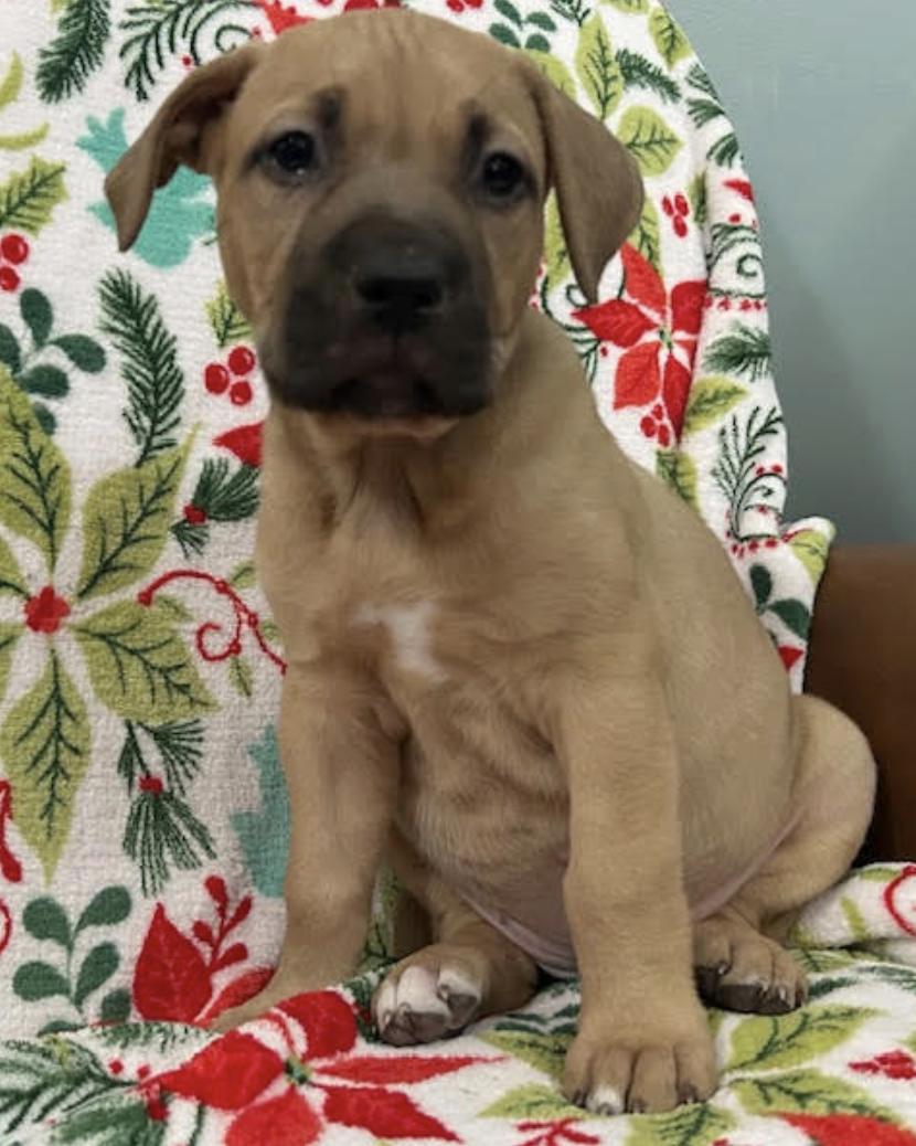 Tuesday Happydays thumbnail 6