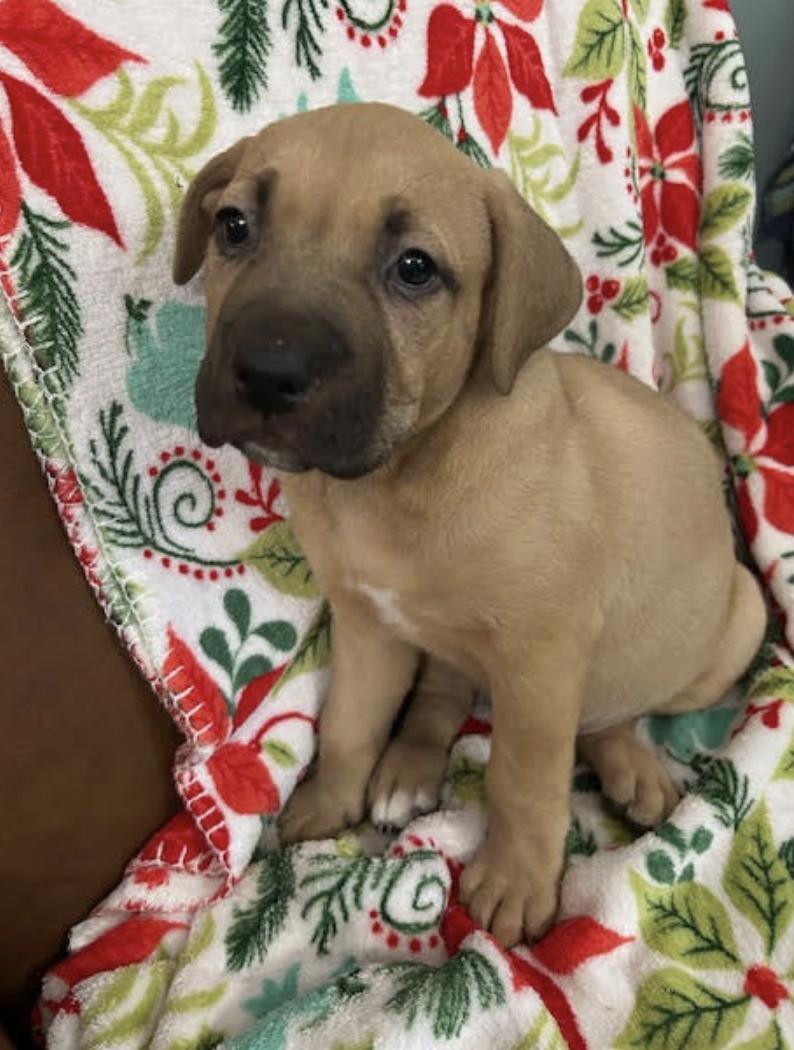 Tuesday Happydays thumbnail 7