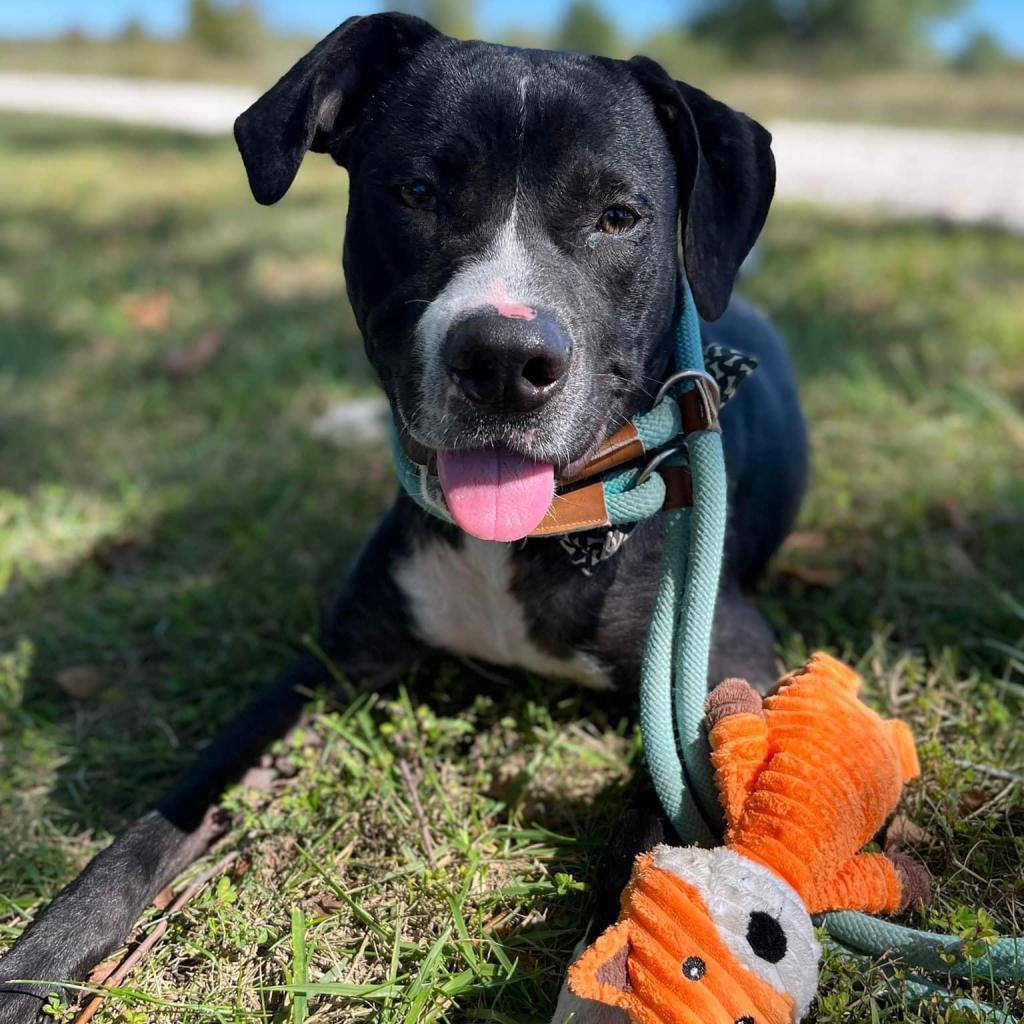 Rawlings — thumbnail 2