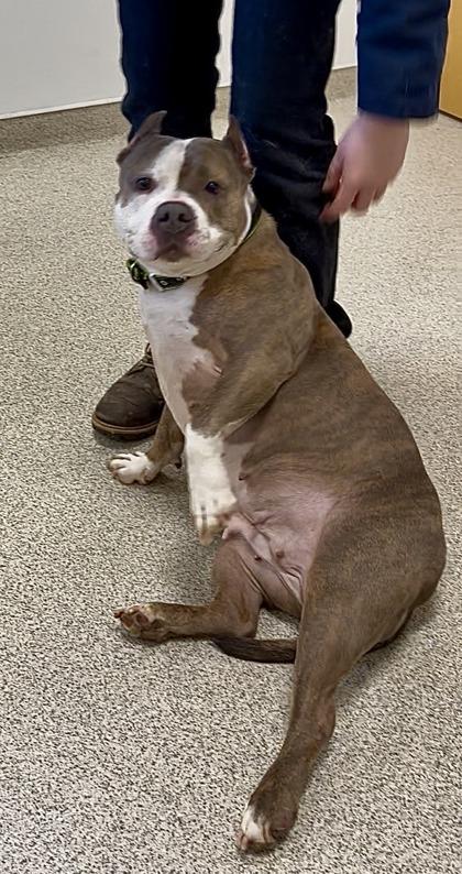 Josie — thumbnail 3