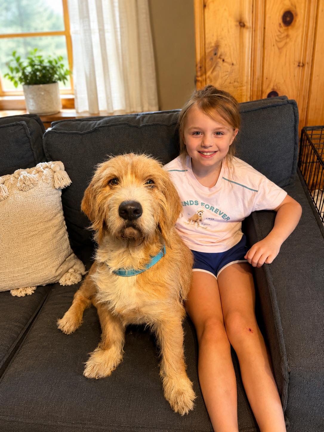 Enlarge MOE, an adopted mixed breed in Kennebunk , ME image 4/6