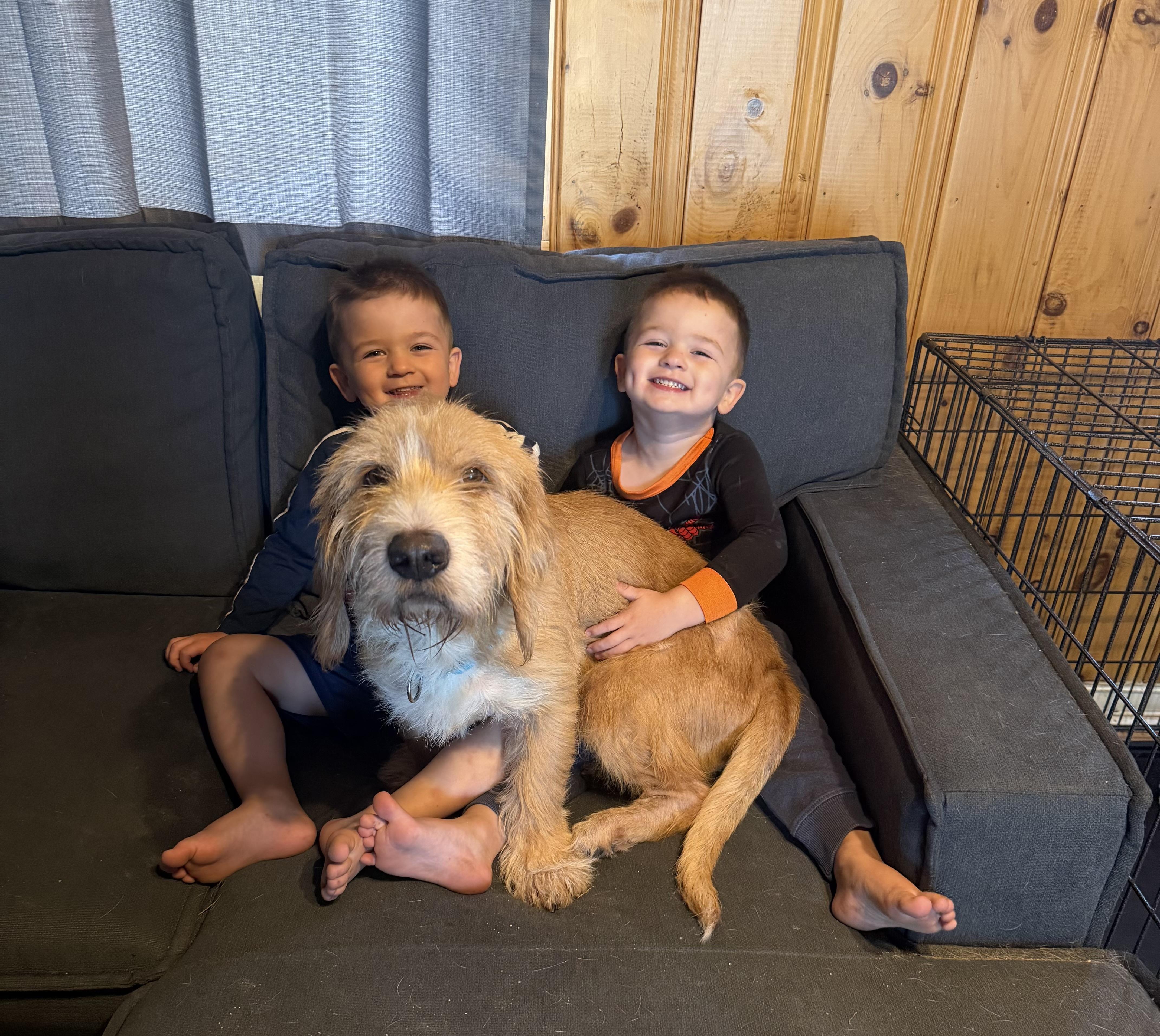 Enlarge MOE, an adopted mixed breed in Kennebunk , ME image 3/6