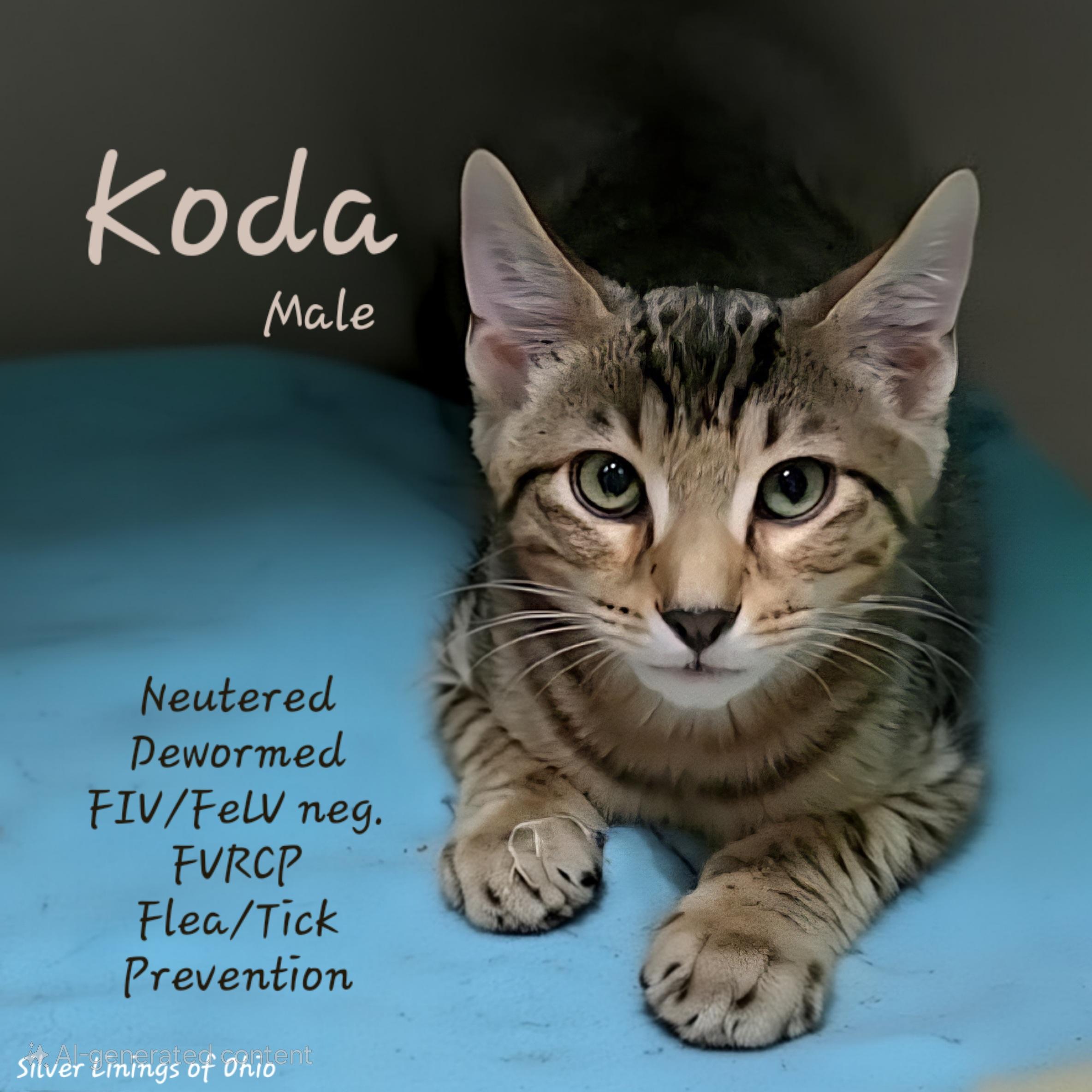 Koda