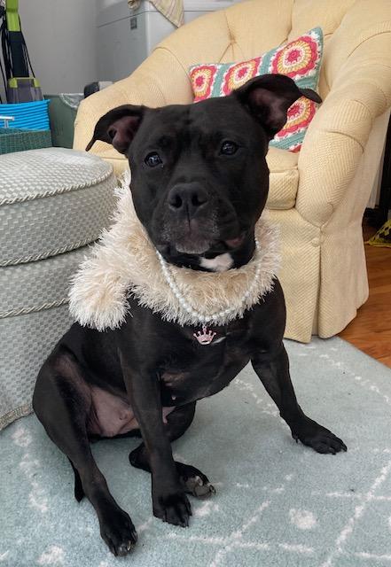 our regal River baby photo 3