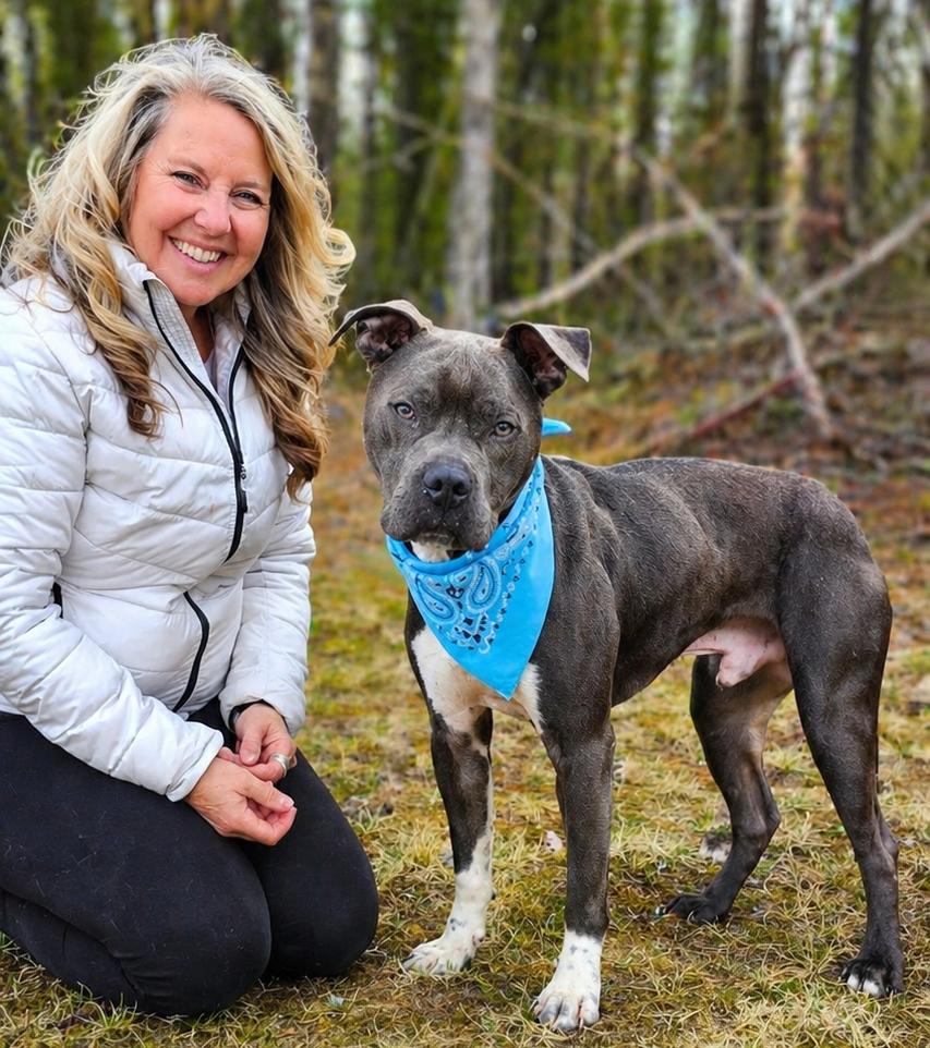 Sasuke, a Adoptable mixed breed in Cheboygan, MI image 1/6