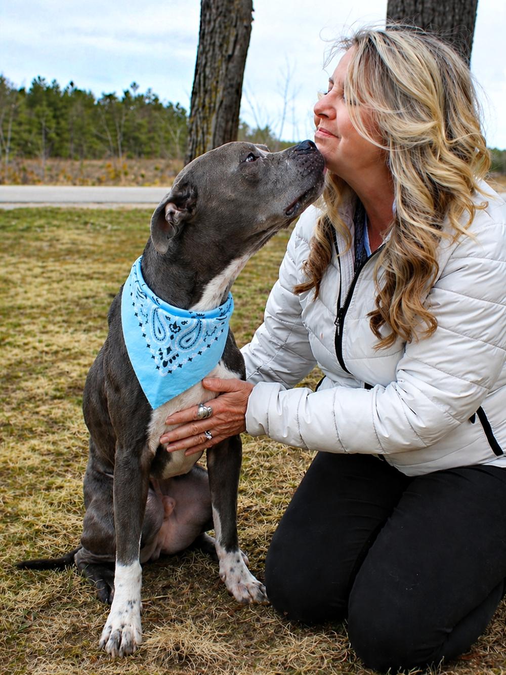 Sasuke, a Adoptable mixed breed in Cheboygan, MI image 5/6