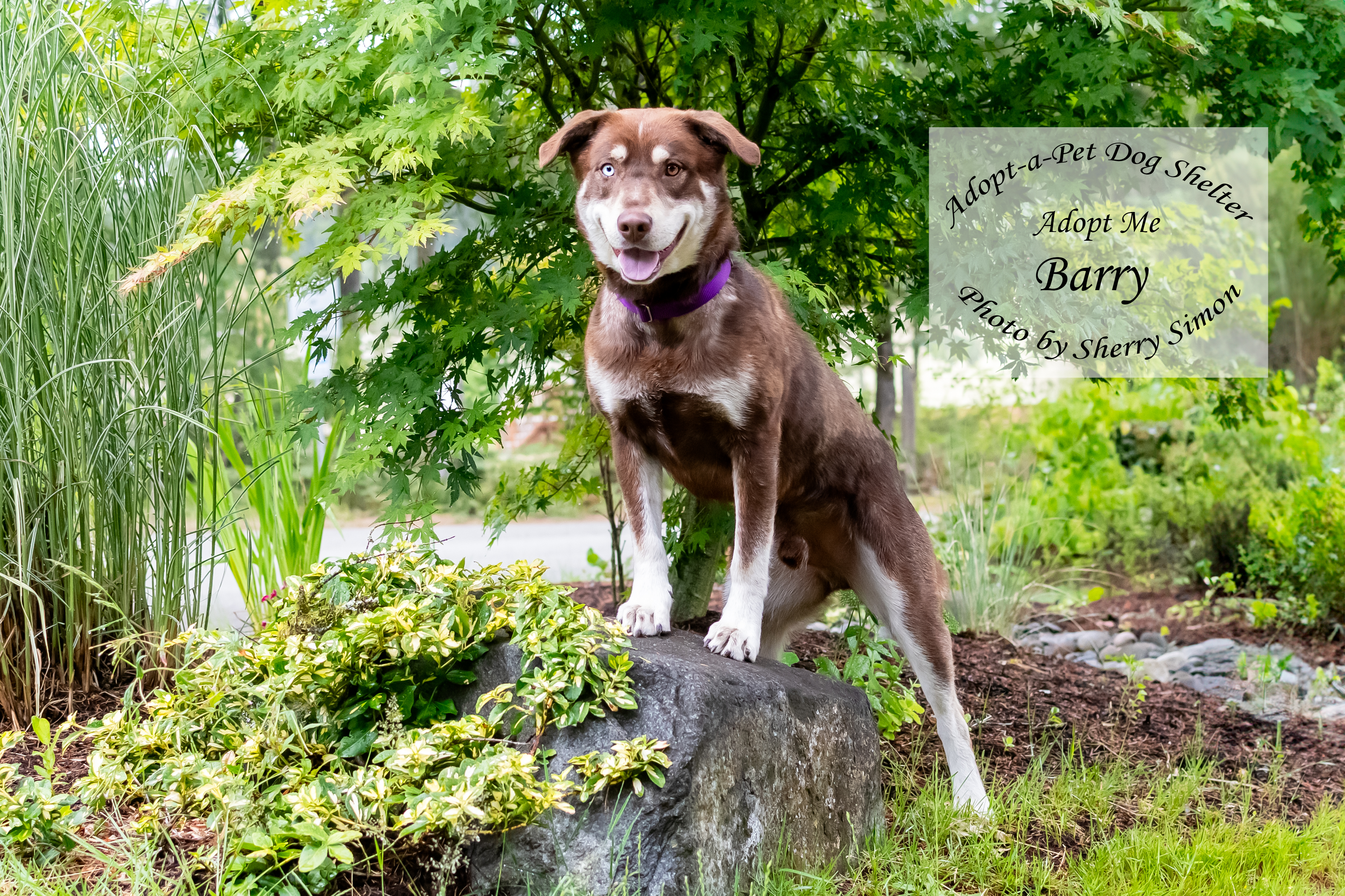 BARRY photo 3