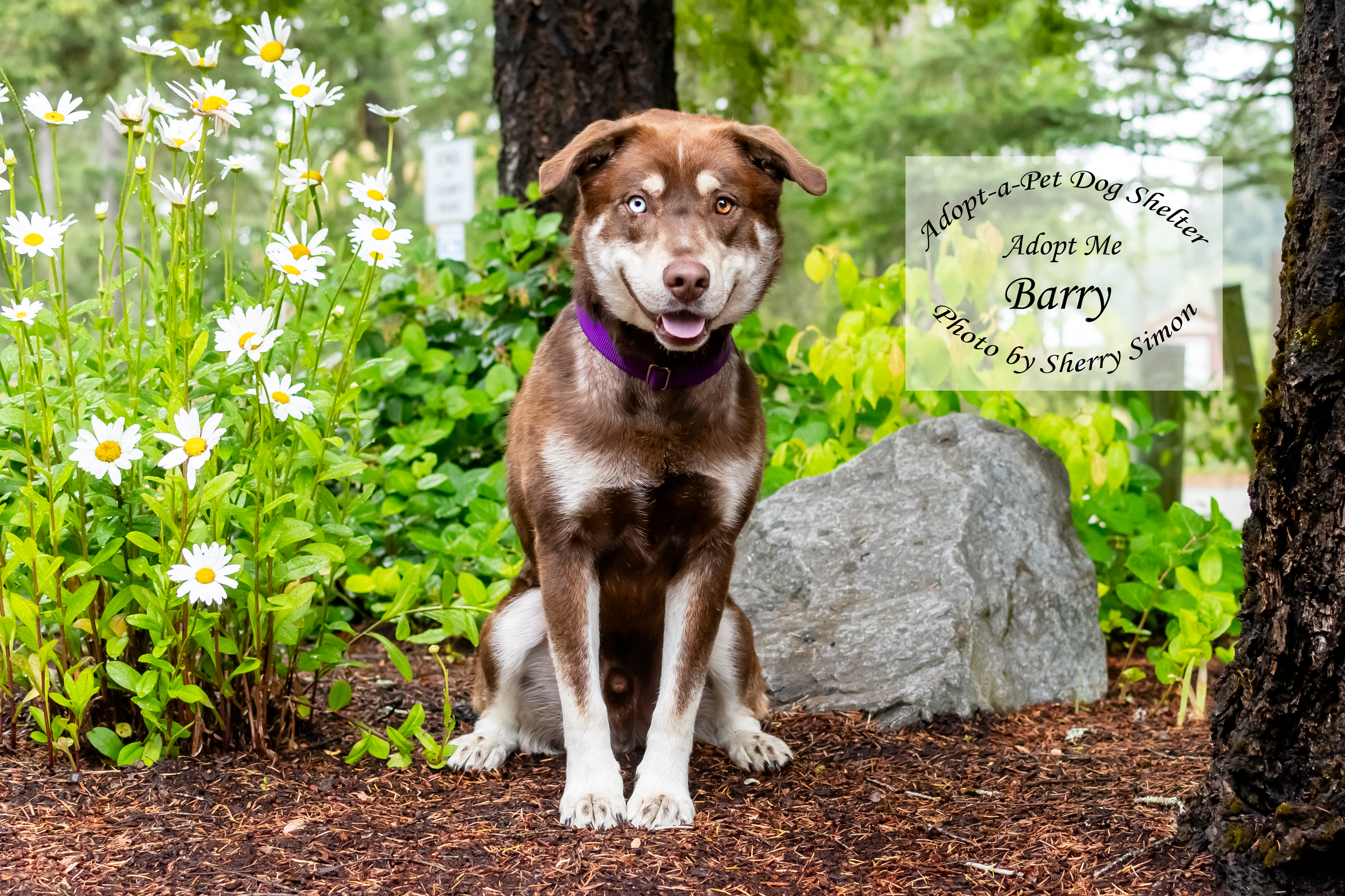 BARRY photo 5