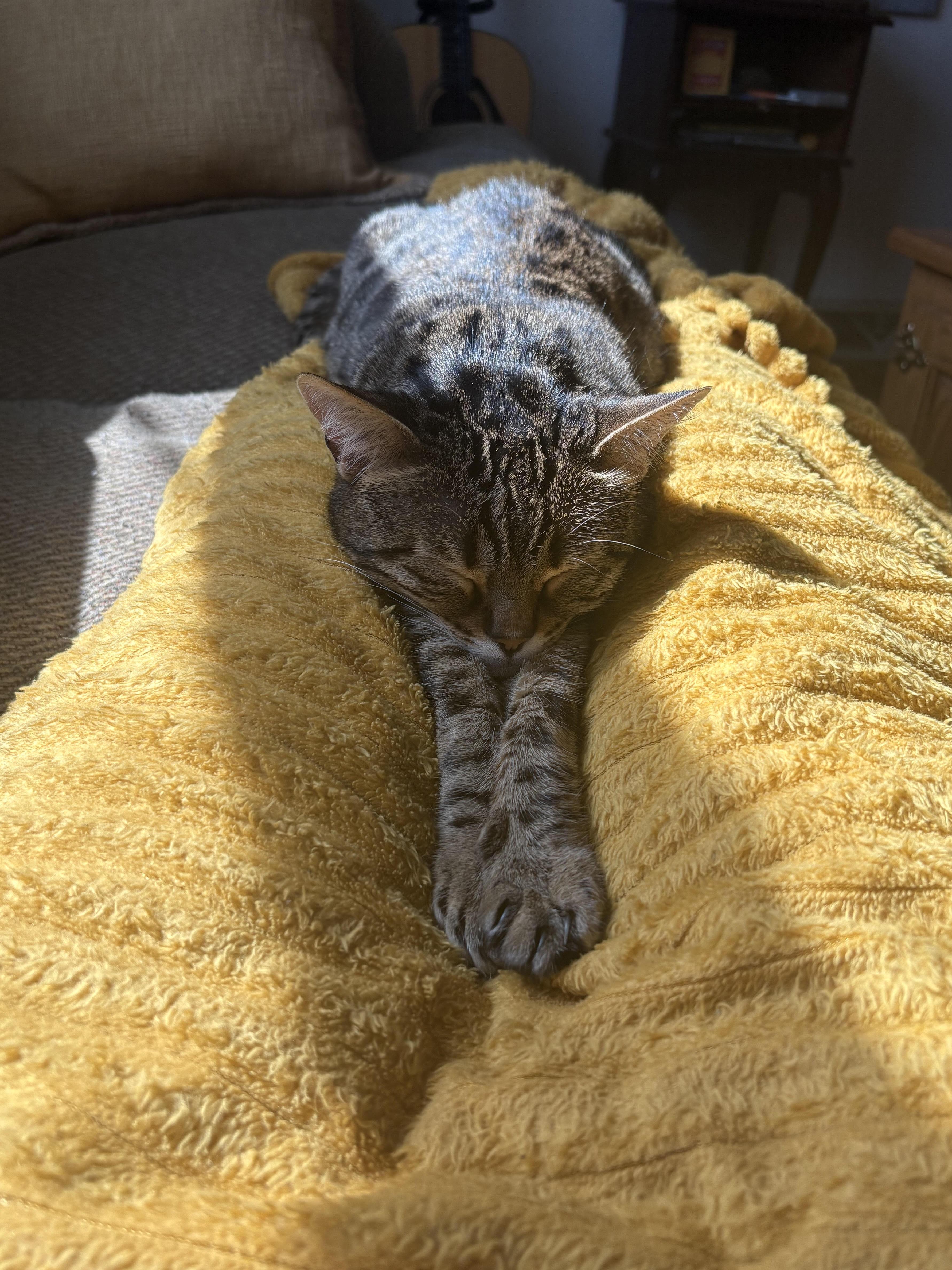 Party Hat thumbnail 7