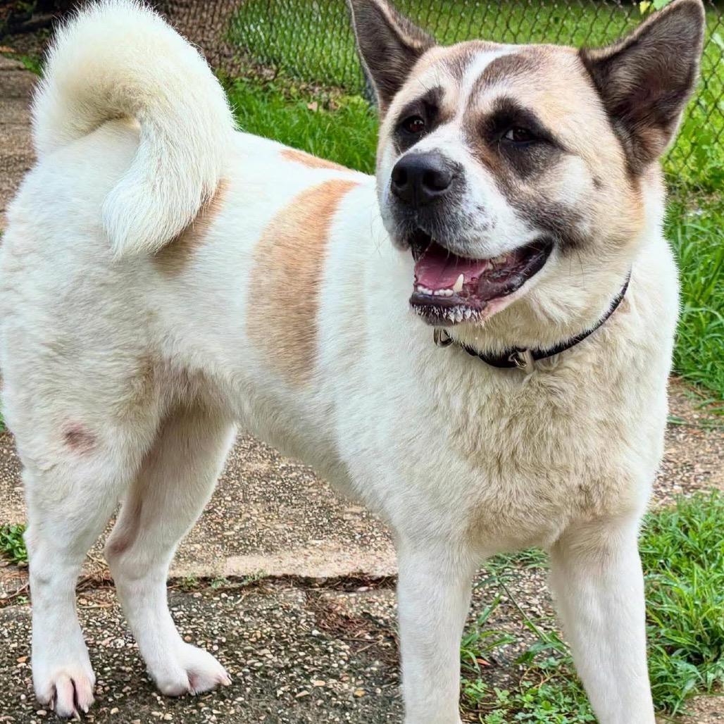 Maizie — thumbnail 2